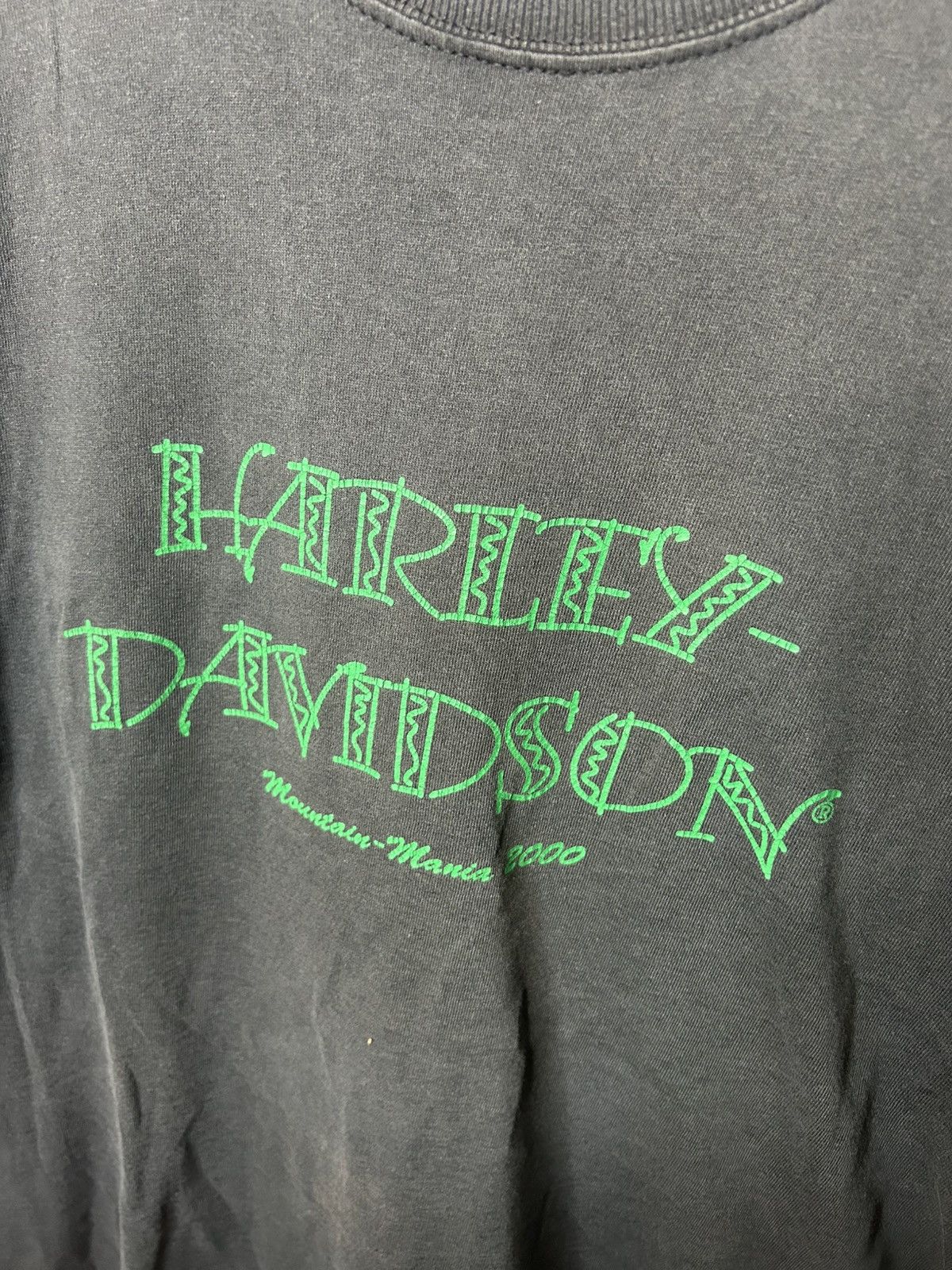 Vintage Vintage Harley-Davidson Mountain Mania 2000 Tee M Size US M / EU 48-50 / 2 - 2 Thumbnail