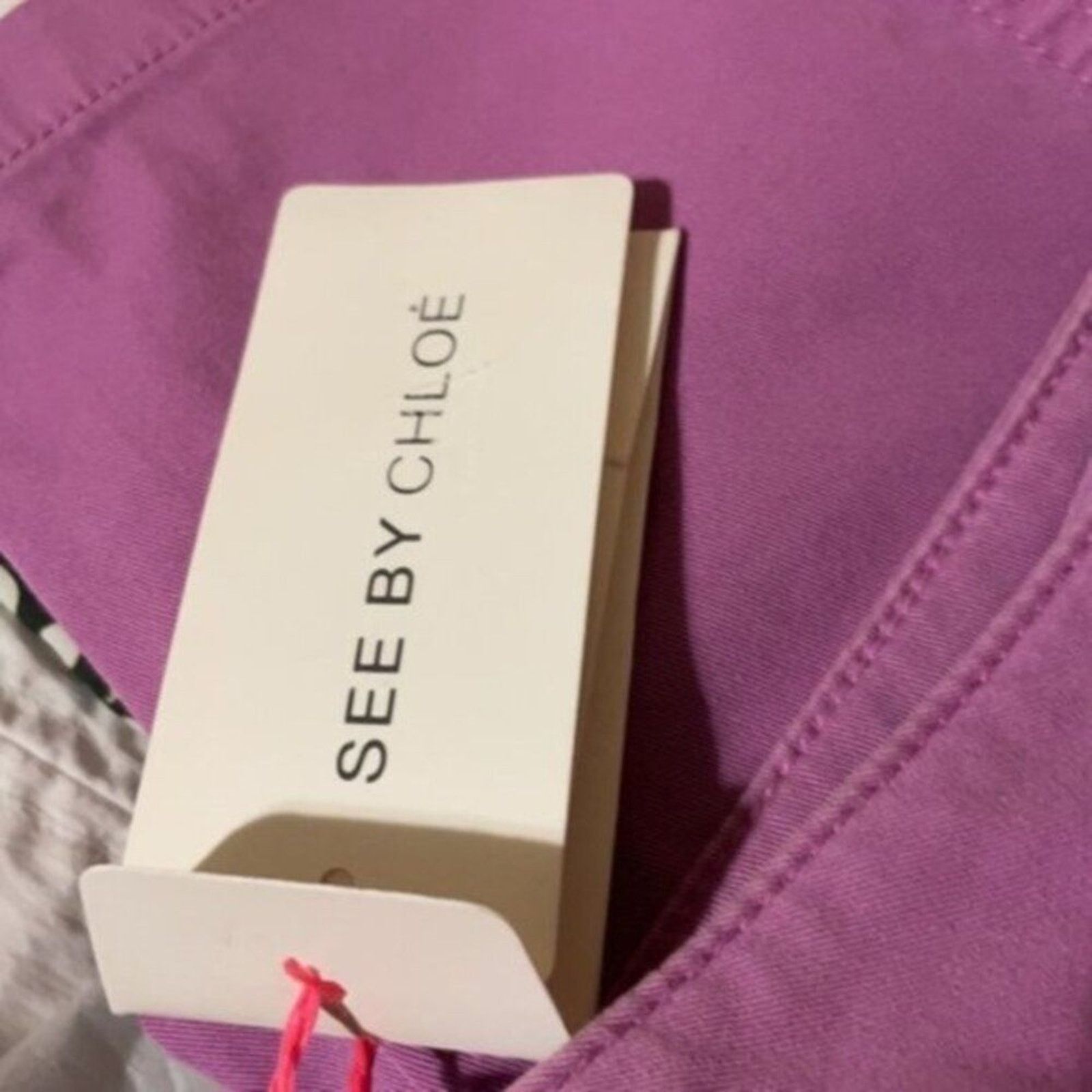 See by Chloe See by Chloe casual pants lavender size 8 Size 30" / US 8 / IT 44 - 6 Thumbnail
