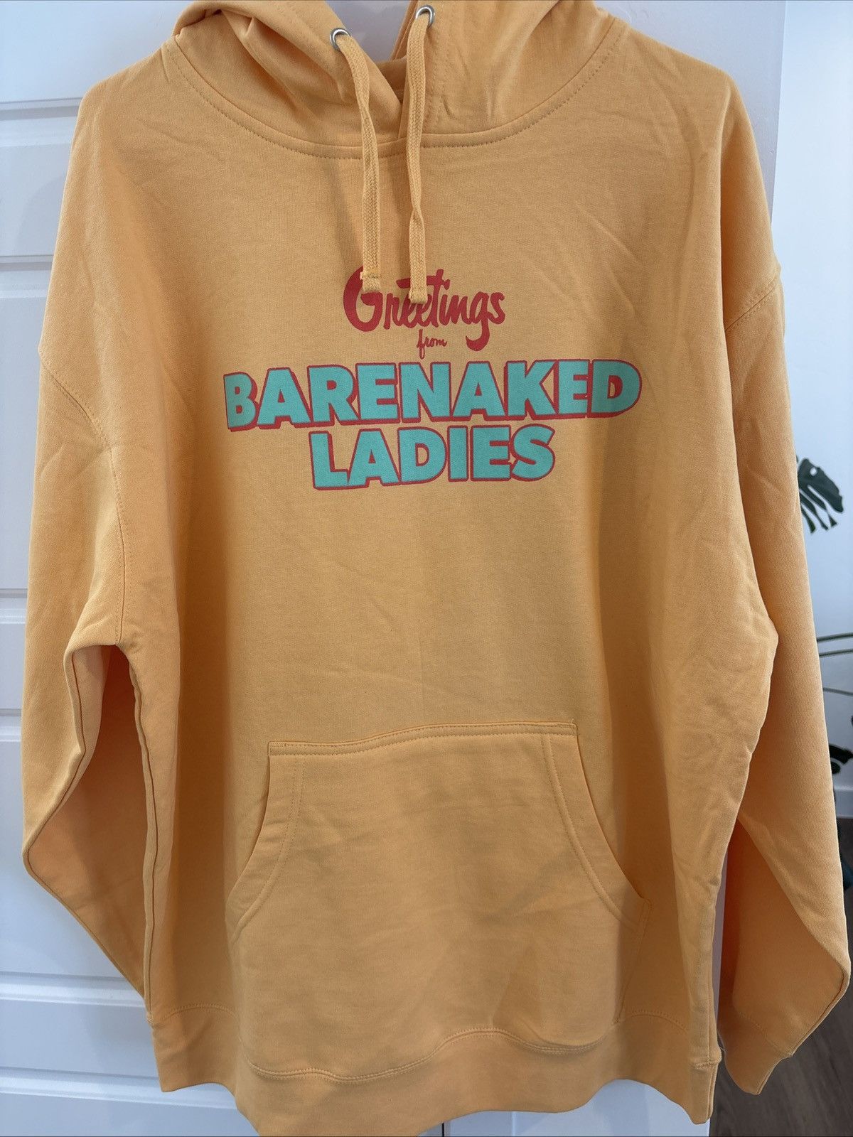 Other Barenaked Ladies 2023 Hoodie Greetings From Last Summer XL Size US XL / EU 56 / 4 - 1 Thumbnail