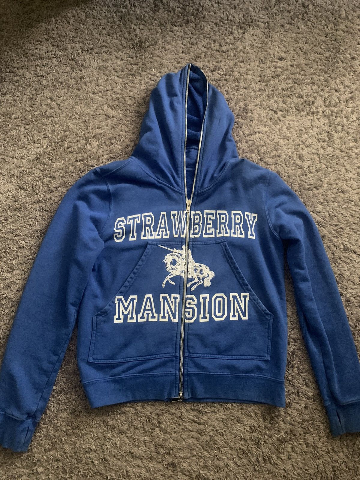 image of Unwanted Strawberry Mansion Zip-Up Hoodie in Blue, Men's (Size Small)