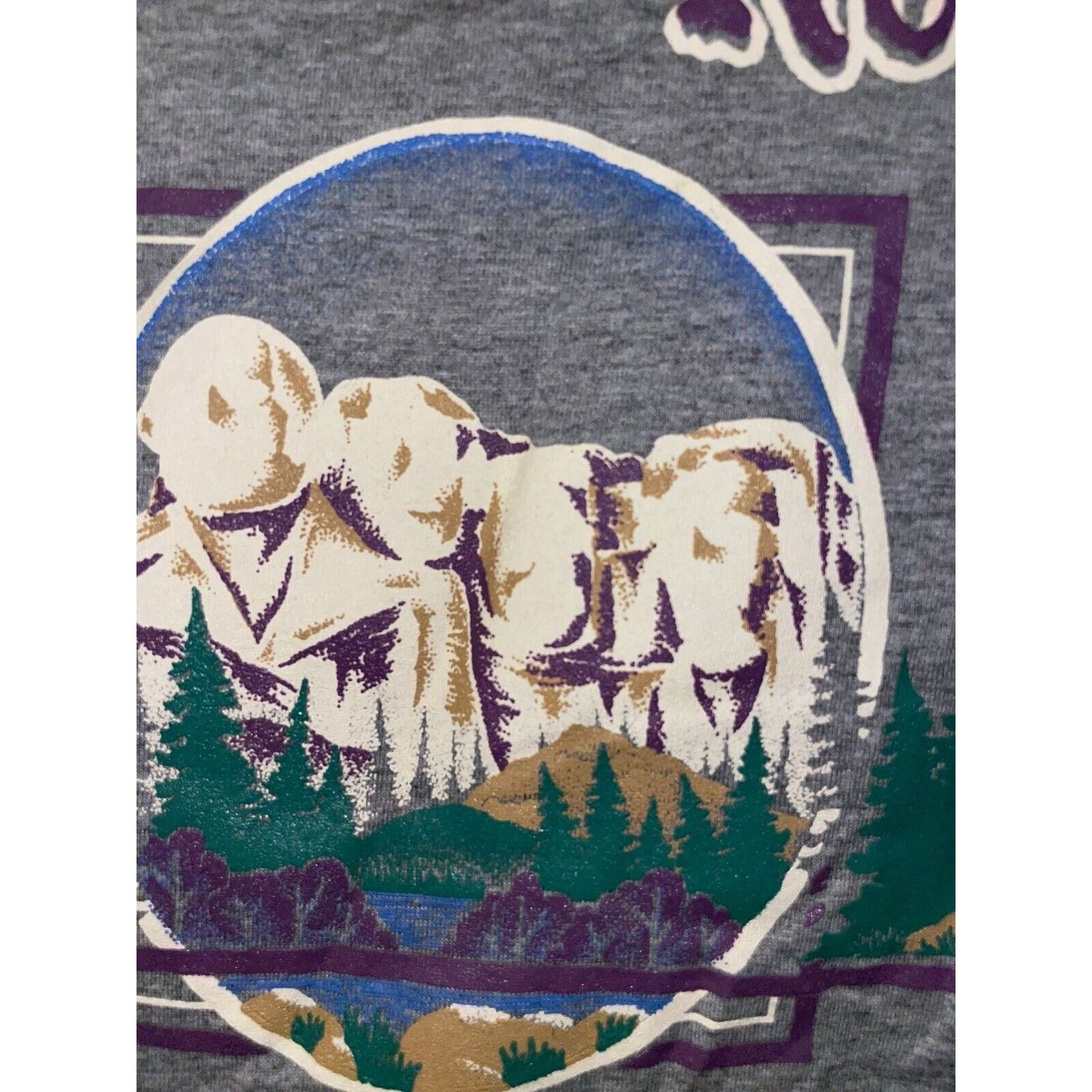 Jerzees × Vintage Vintage Mount Rushmore Shirt Jerzees Gray Tee VTG 90s Large Size US L / EU 52-54 / 3 - 5 Thumbnail