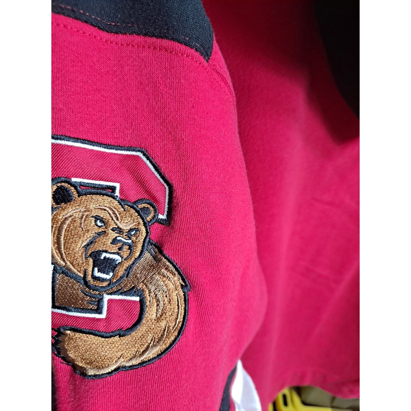 Other Colosseum Hoodie Pullover Bear Graphic Lace Up Mens XL Size US XL / EU 56 / 4 - 8 Thumbnail