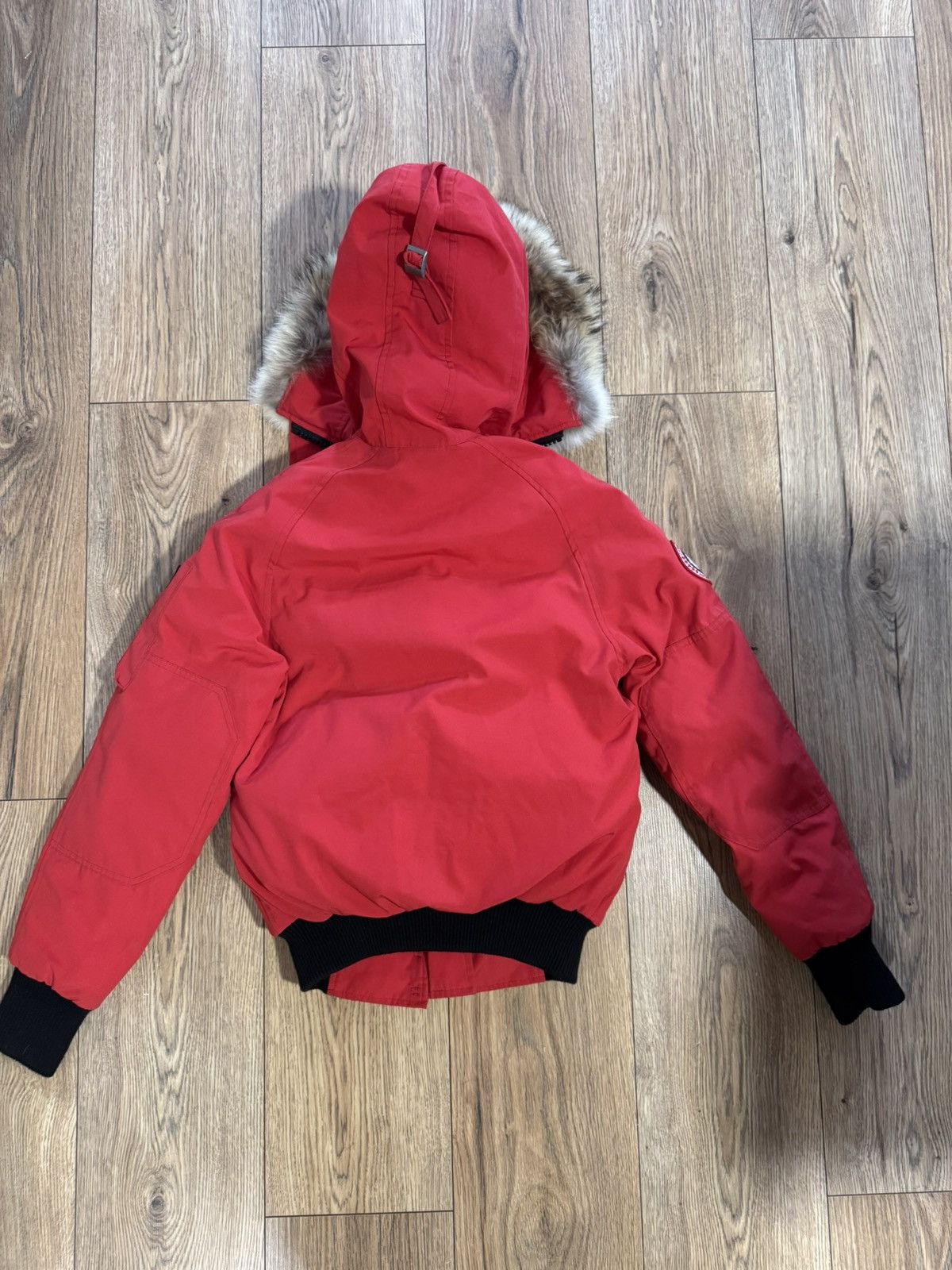 Canada Goose Canada goose chilliwack bomber jacket Size US XXS / EU 40 - 2 Thumbnail