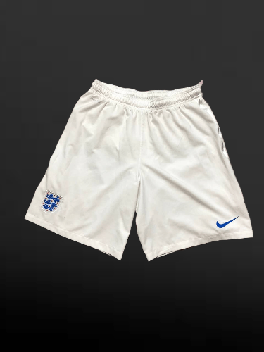 Nike Nike TRAINING SHORTS Dri-Fit Logo Casual Size US 36 / EU 52 - 1 Thumbnail