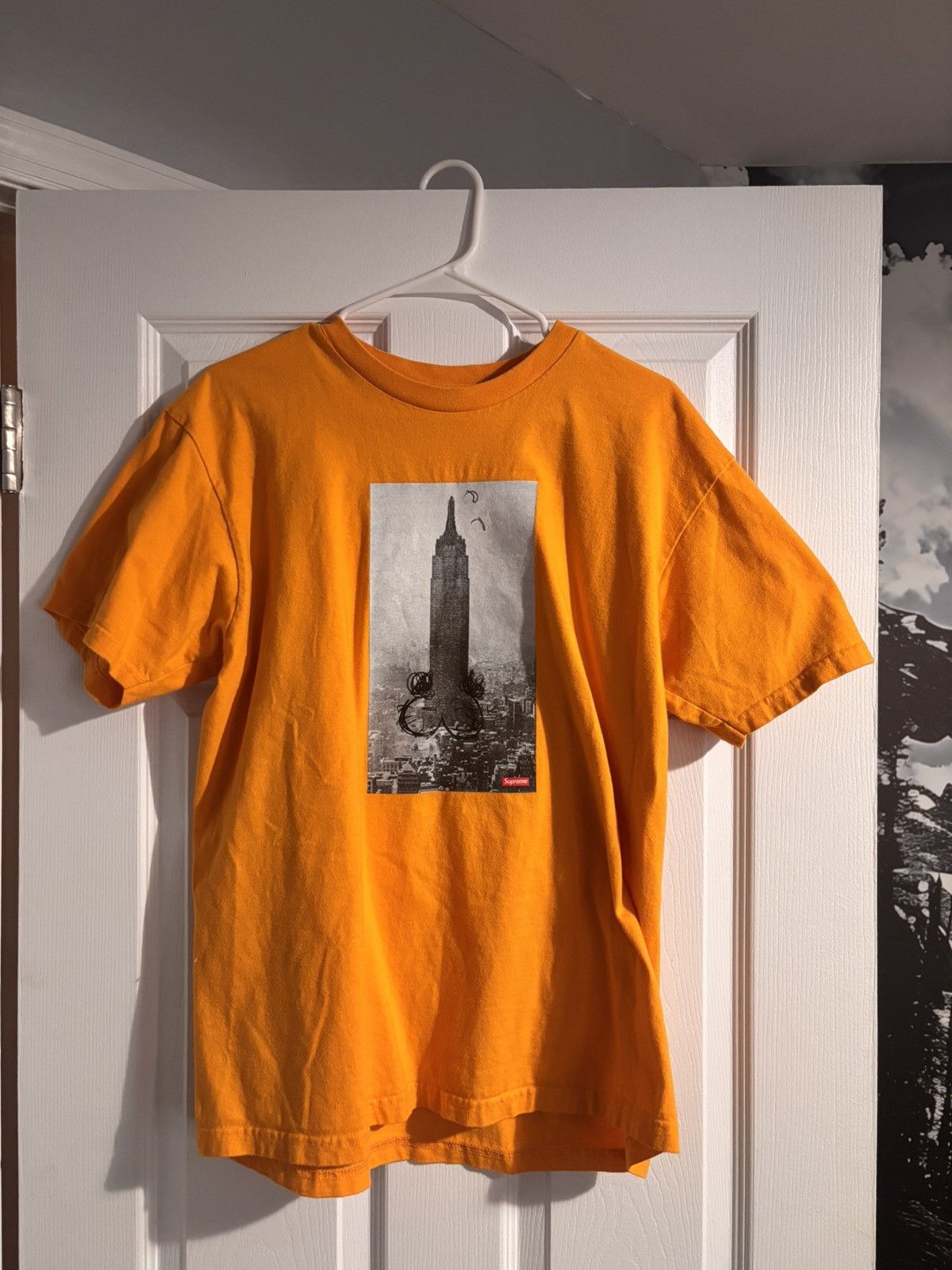 Supreme Mike Kelley Empire State Dick Tee | Grailed