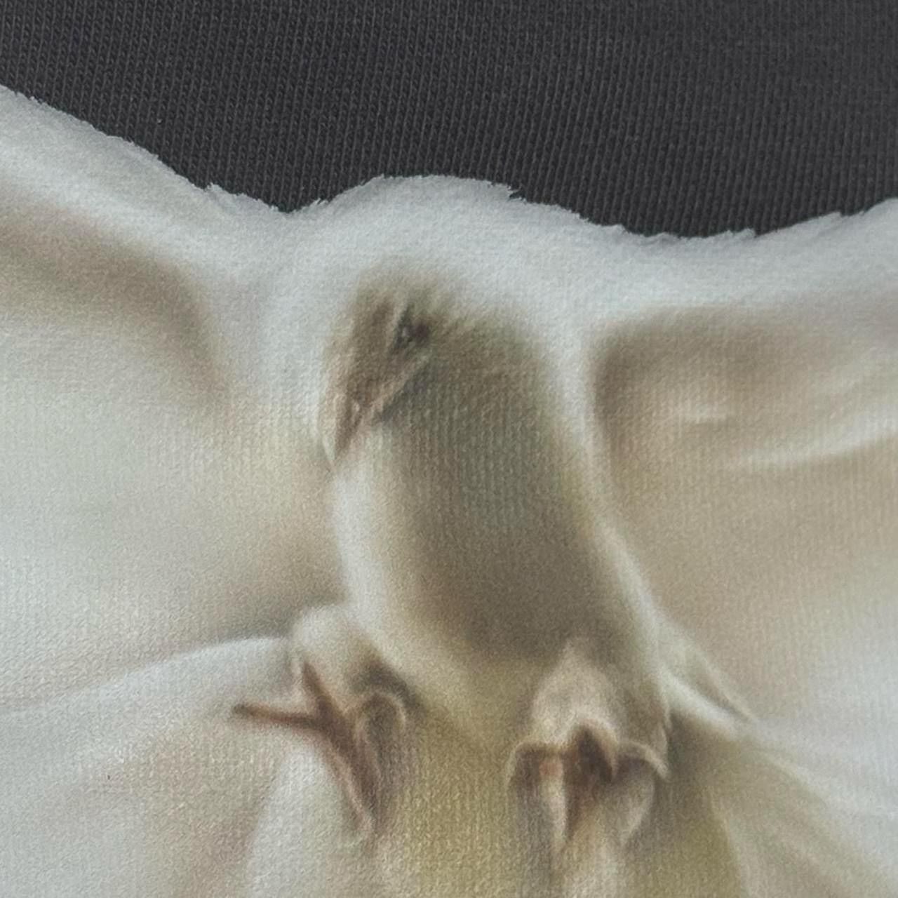 Balenciaga × Gap × Yeezy Yeezy Gap Balenciaga Black Dove Hoodie Size US L / EU 52-54 / 3 - 2 Thumbnail