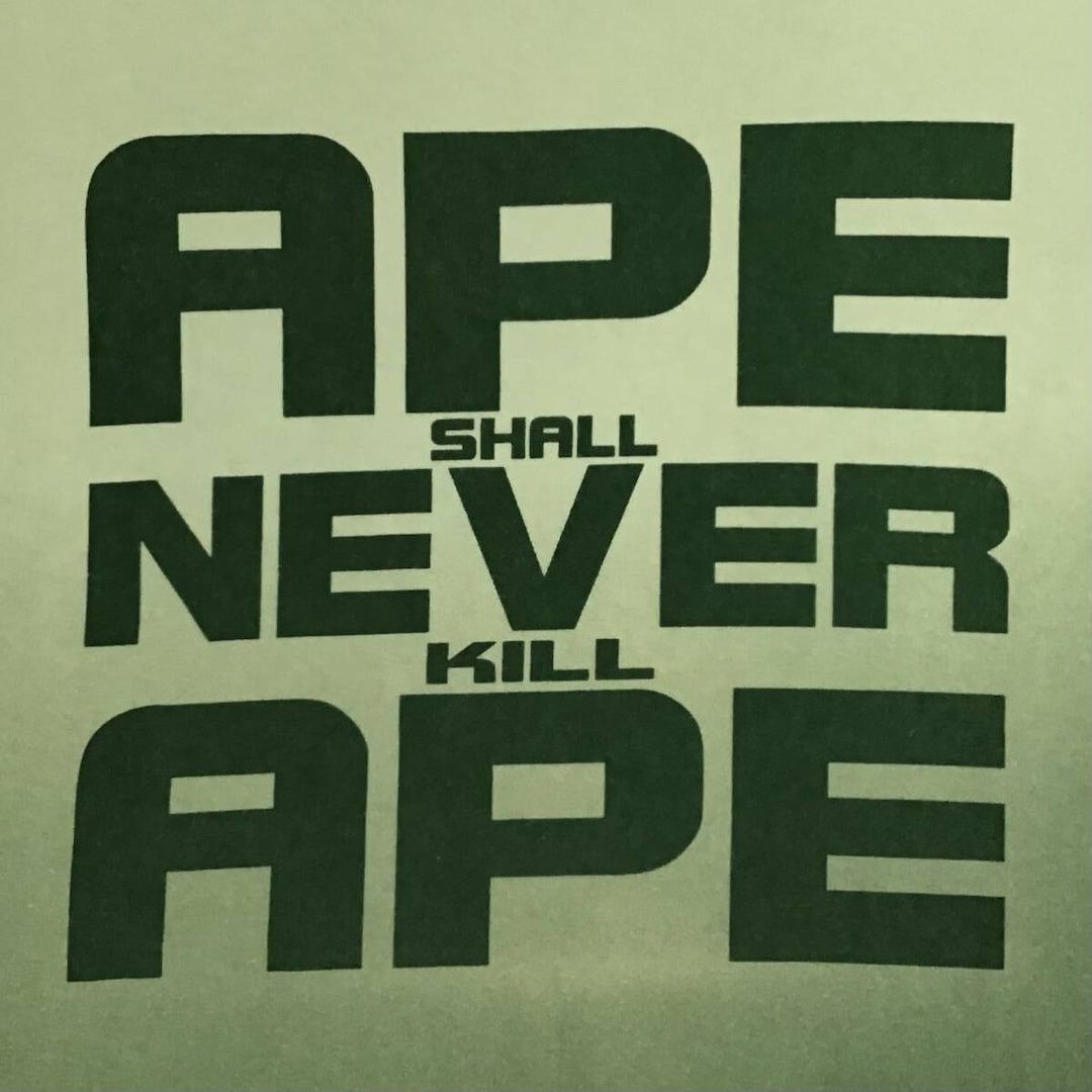 Bape 🔥Vintage🔥 BAPE ASNKA logo Gradation T-shirt a bathing ape Size US L / EU 52-54 / 3 - 2 Thumbnail