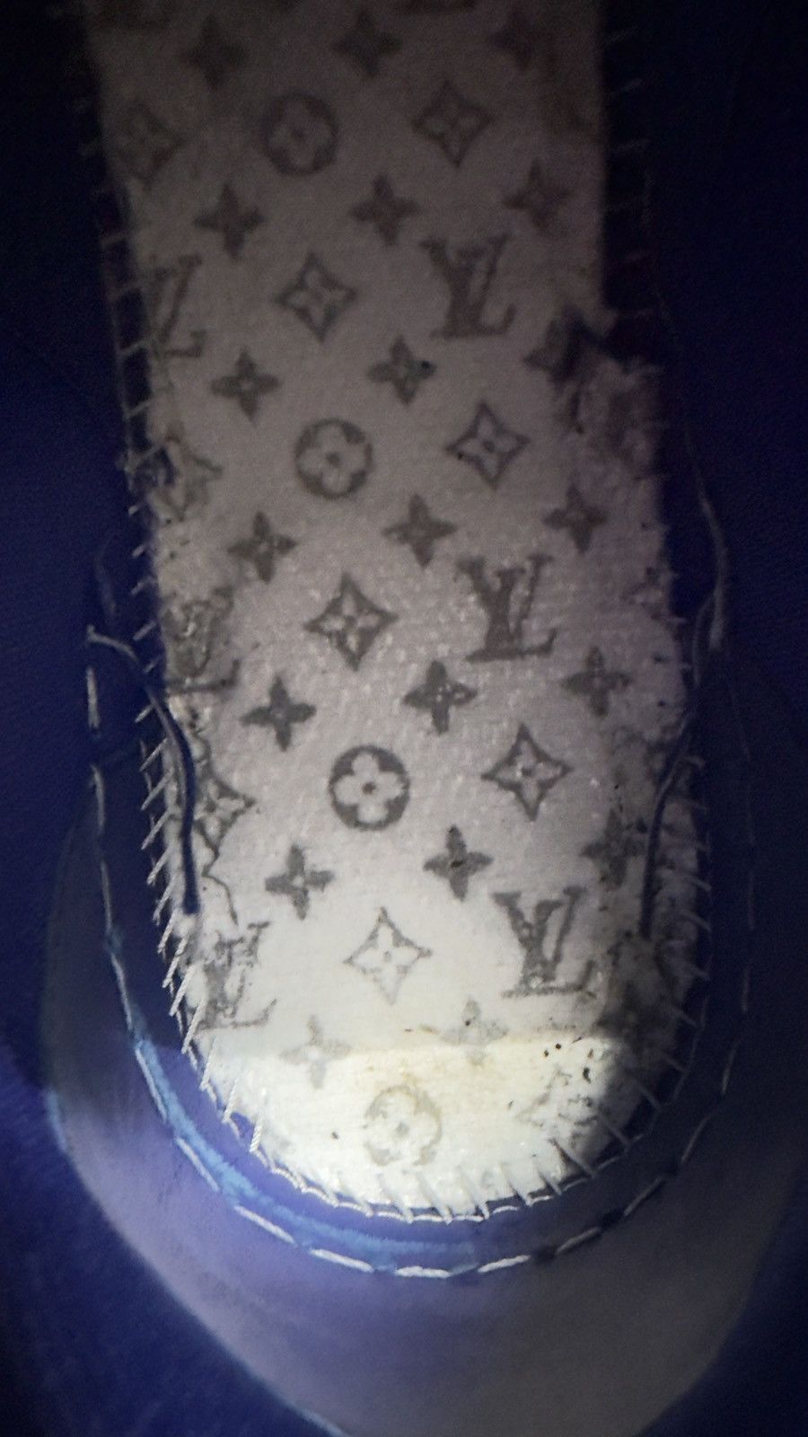 Louis Vuitton Louis Vuitton skates Size US 8.5 / EU 41-42 - 16 Thumbnail
