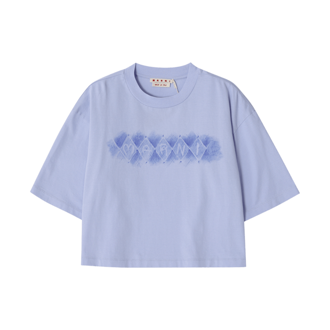 o1f1d3z1125 Logo Cropped T-Shirt in Light Blue