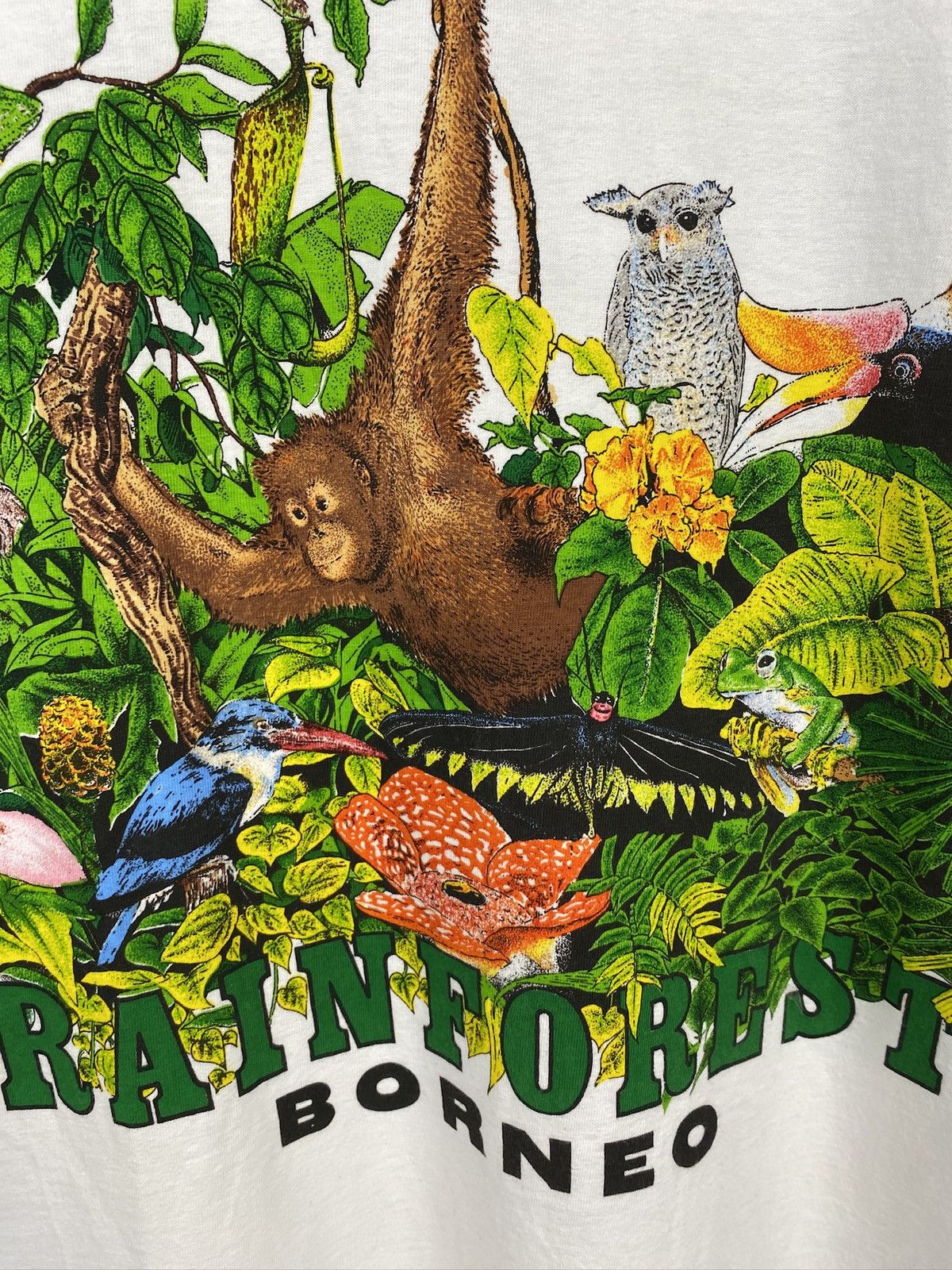 Vintage Men’s Rainforest Borneo T-Shirt Animals Size XXL Size US XXL / EU 58 / 5 - 6 Thumbnail