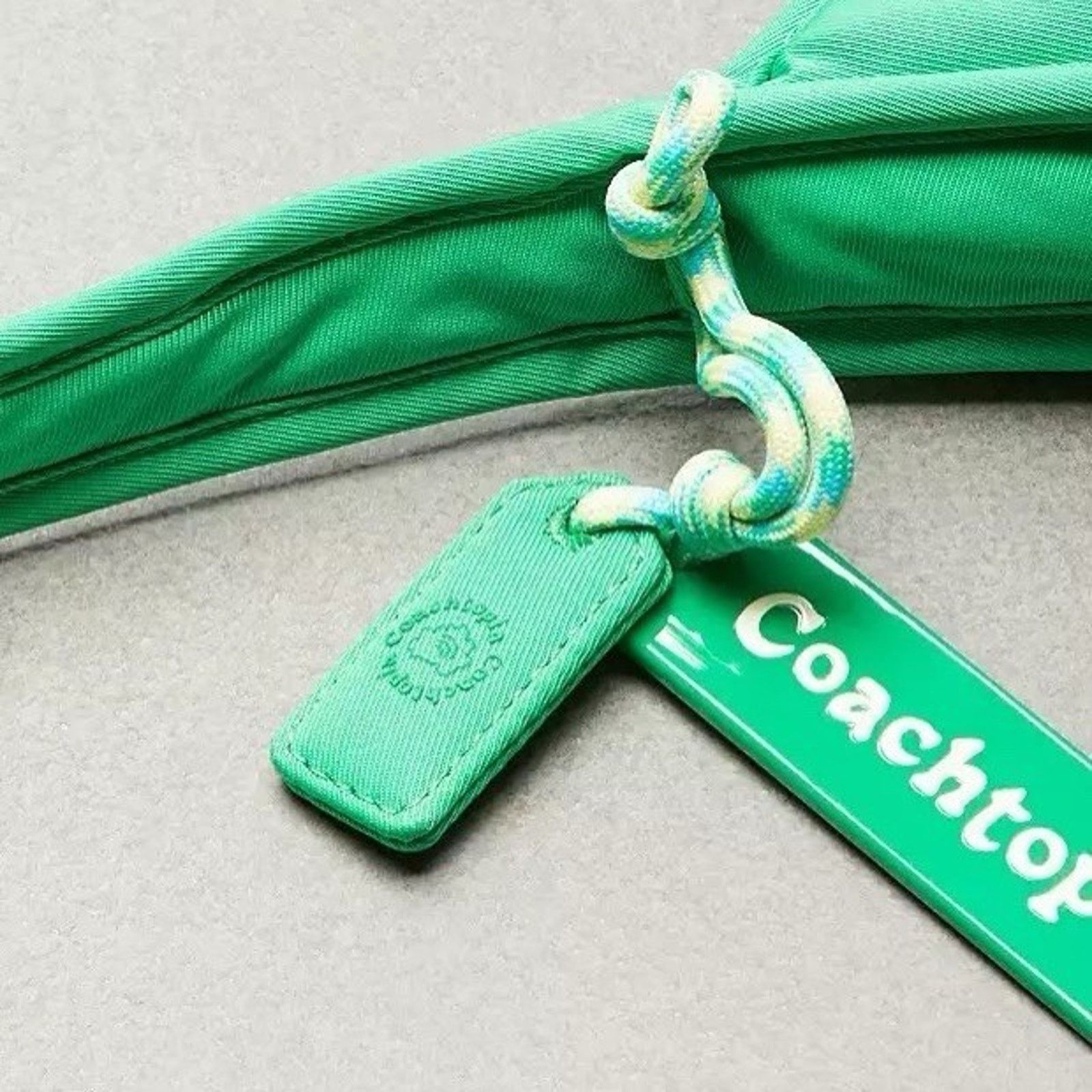 Coach NWT Coach CV875 Coachtopia Loop Ergo Bag Cloud Kelp Purse Size ONE SIZE - 8 Thumbnail