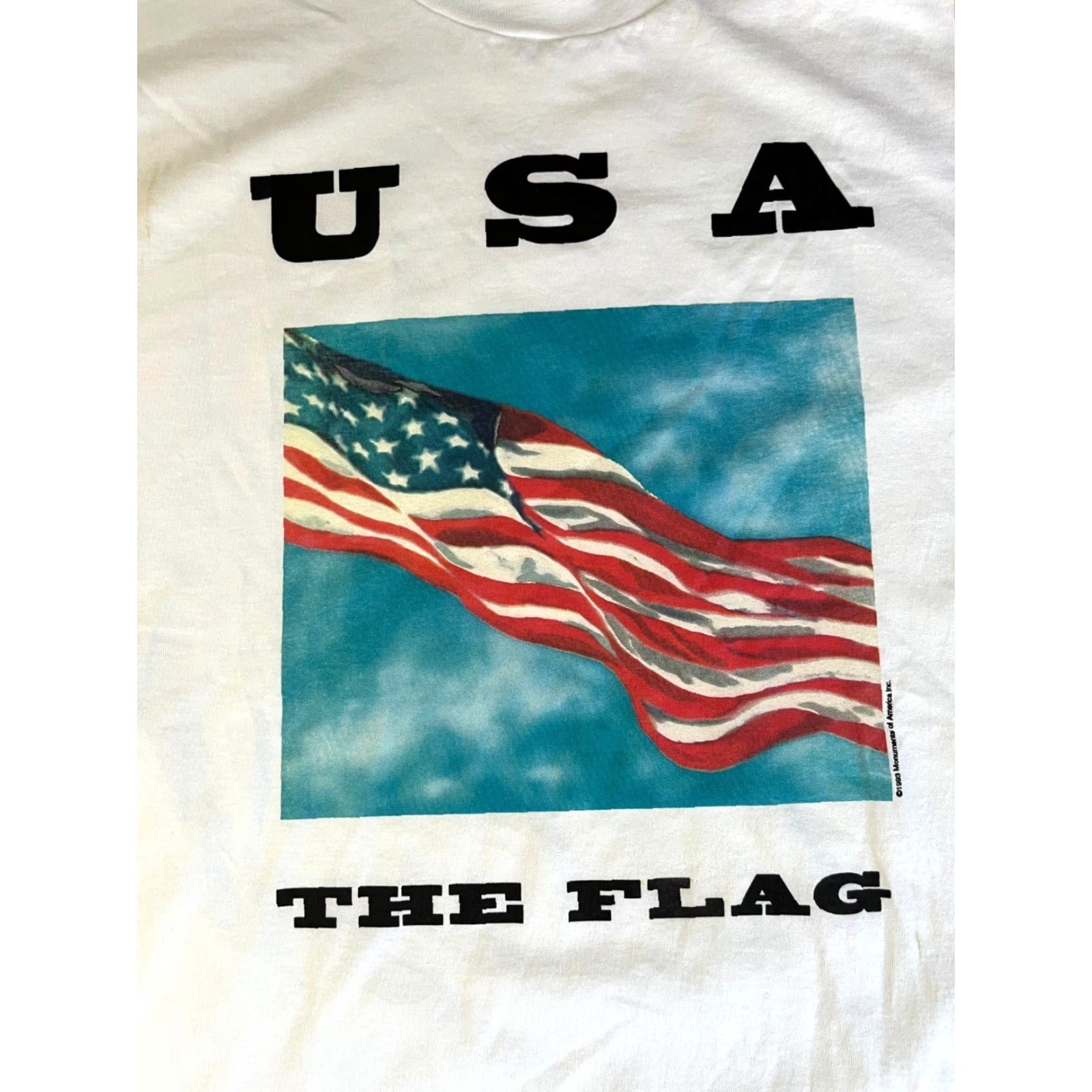 Jerzees VINTAGE Jerzees T-Shirt USA 1993 Monuments of America Graphic Tee White L Mens Size US L / EU 52-54 / 3 - 4 Thumbnail