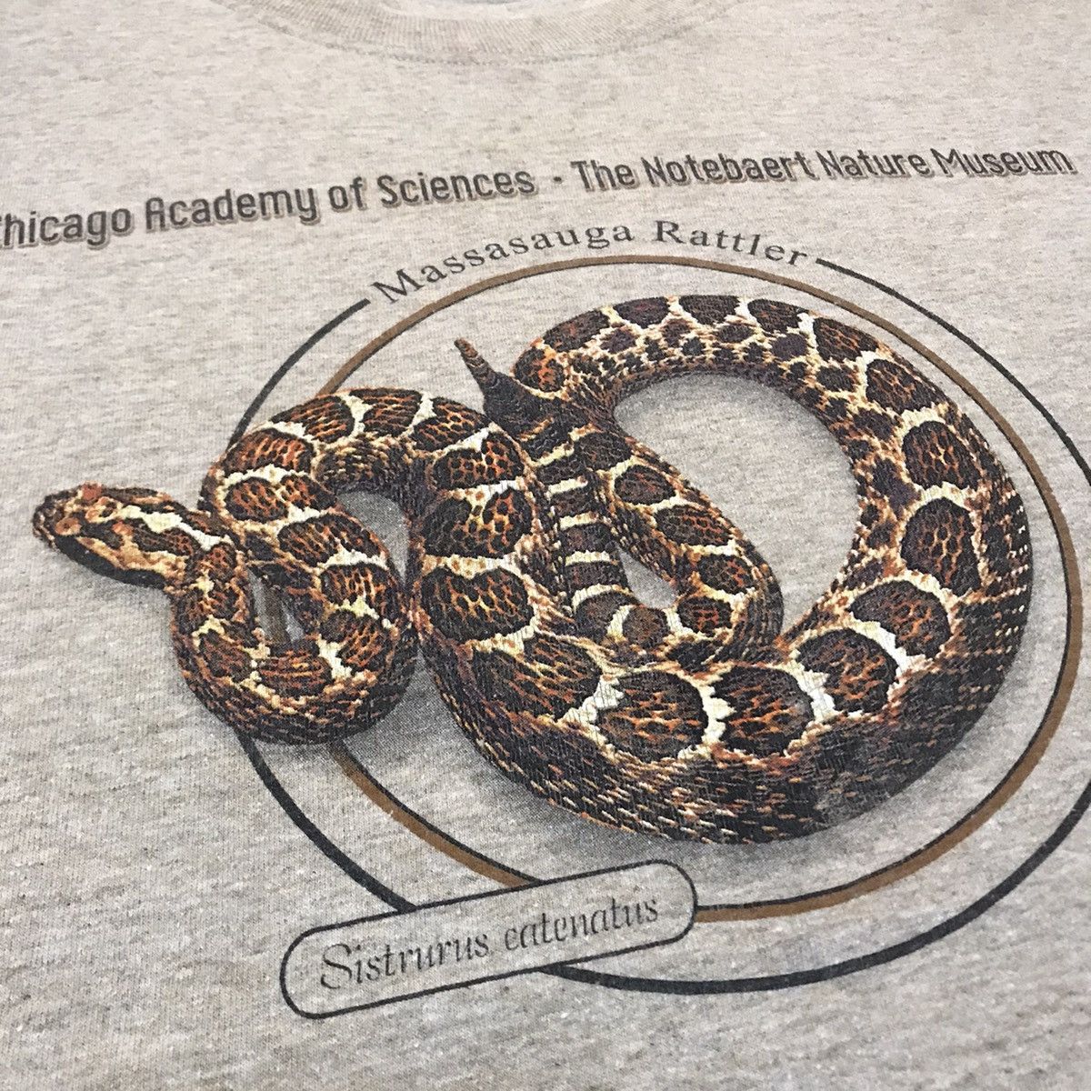 Vintage VINTAGE Y2K MASSASAUGA RATTLER SNAKE SISTRURUS CATENATUS TEE Size US L / EU 52-54 / 3 - 3 Thumbnail