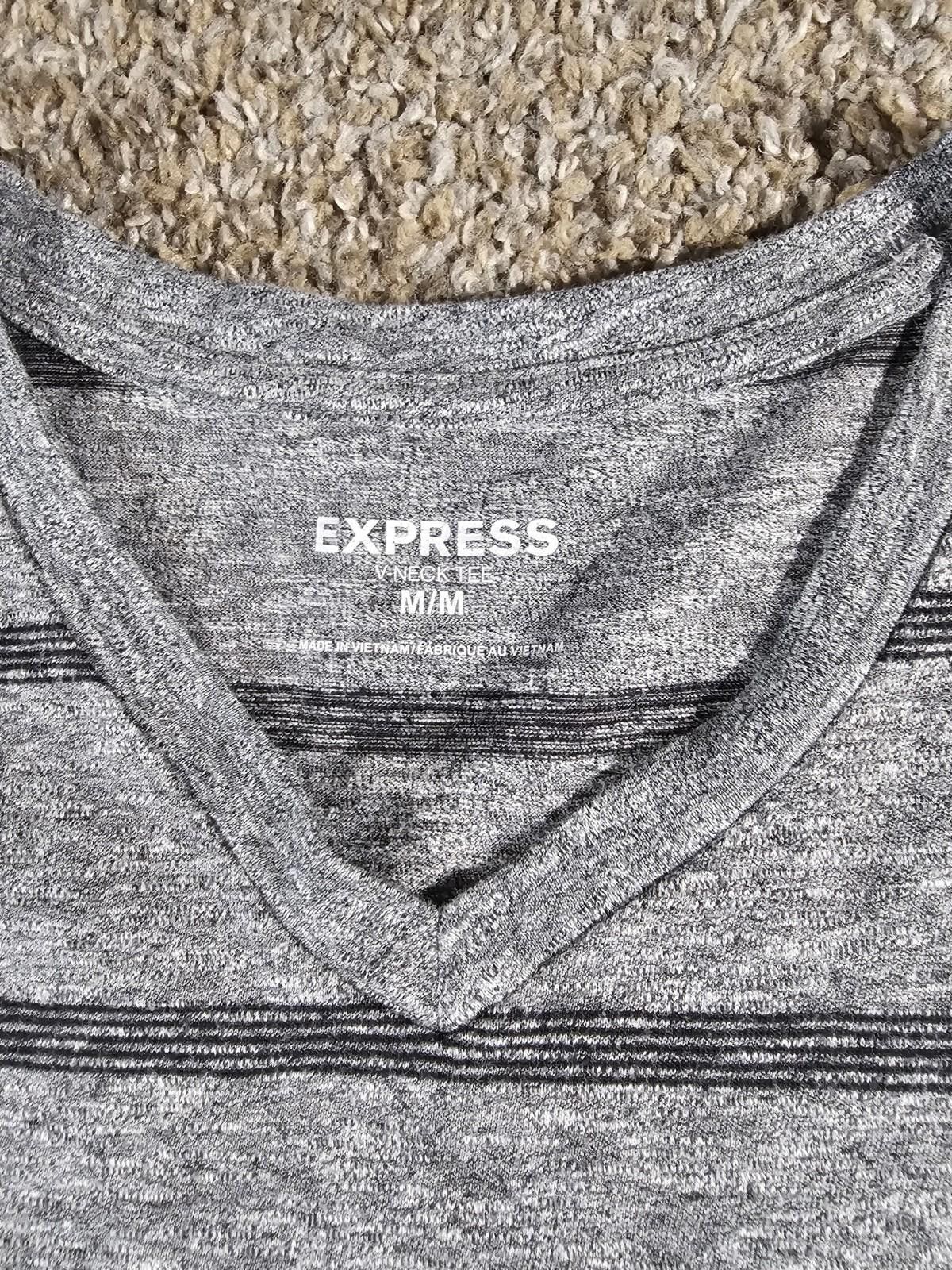 Express Express Gray Vneck Tshirt Mens Medium Striped Size US M / EU 48-50 / 2 - 4 Thumbnail
