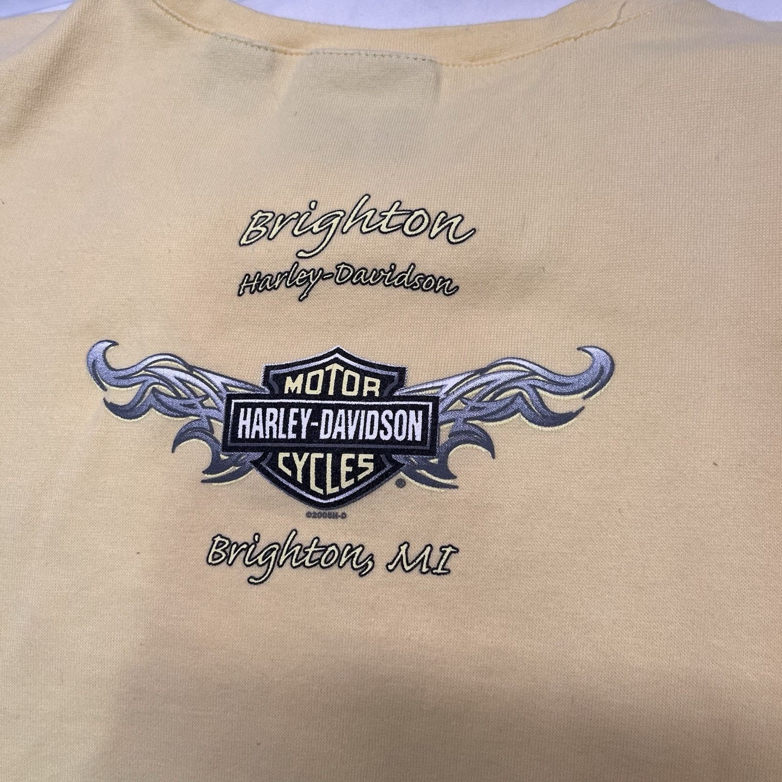 Harley Davidson Vintage Yellow 3/4 Sleeve Tshirt Glitter Graphic Brighton MI Size M / US 6-8 / IT 42-44 - 6 Thumbnail