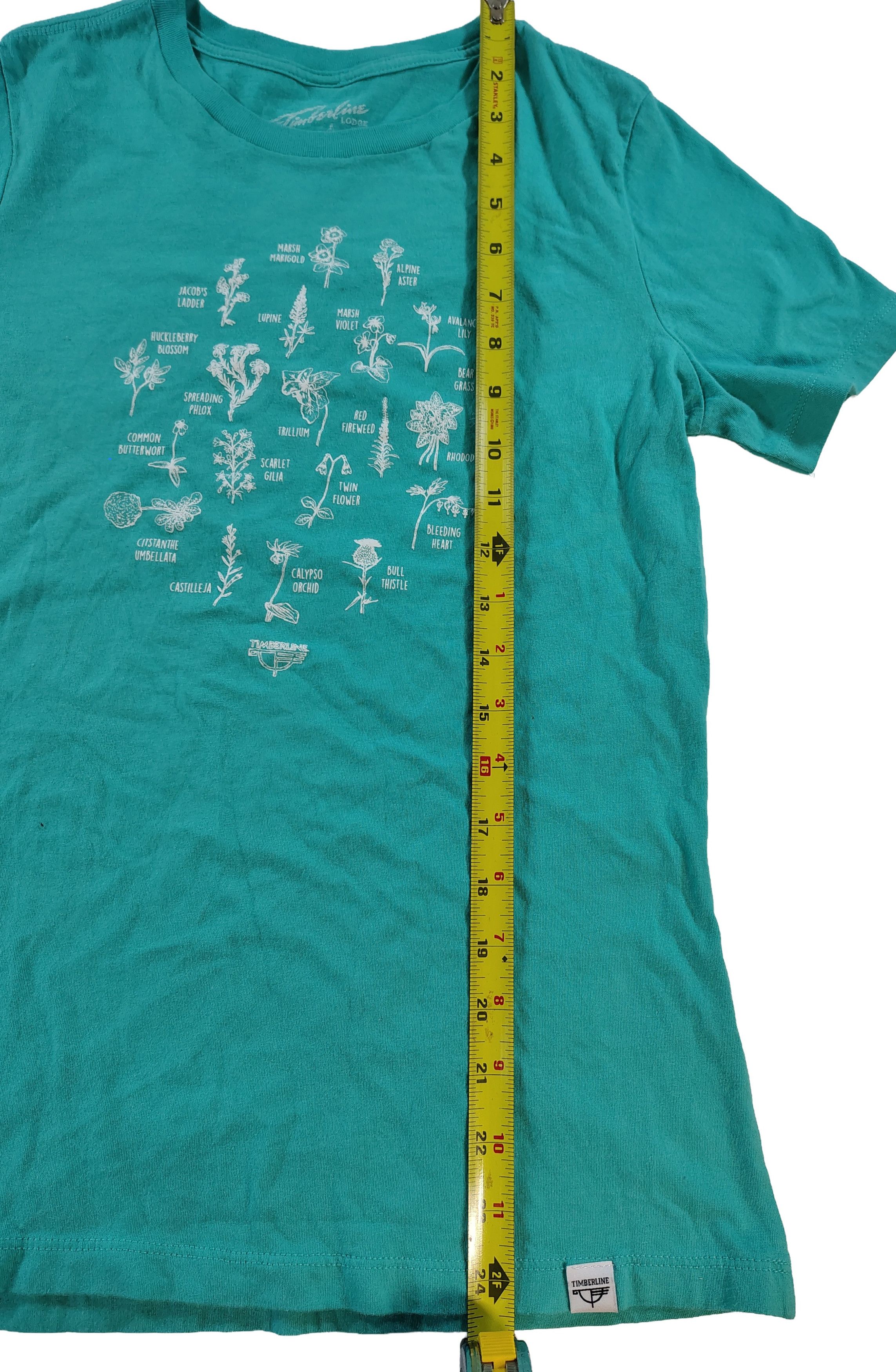Other Women's Small Sea Green Timberline Lodge Foliage T-Shirt Size S / US 4 / IT 40 - 6 Thumbnail