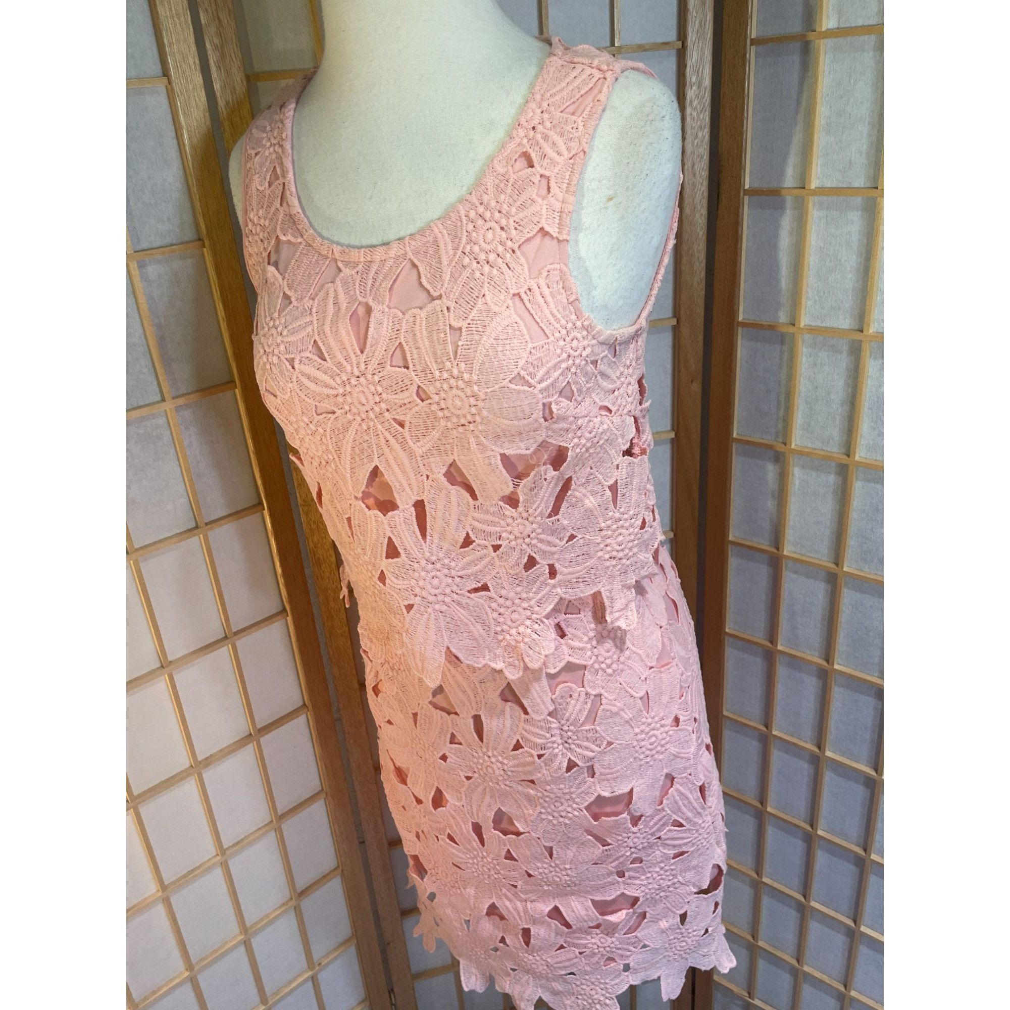 Other Francesca's Miami Sm Lace Floral Dress Size S / US 4 / IT 40 - 16 Thumbnail