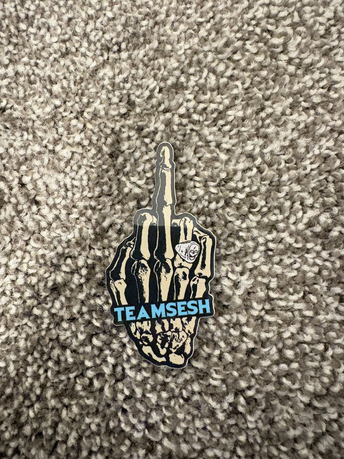 TeamSESH TeamSESH sticker Size ONE SIZE - 1 Preview