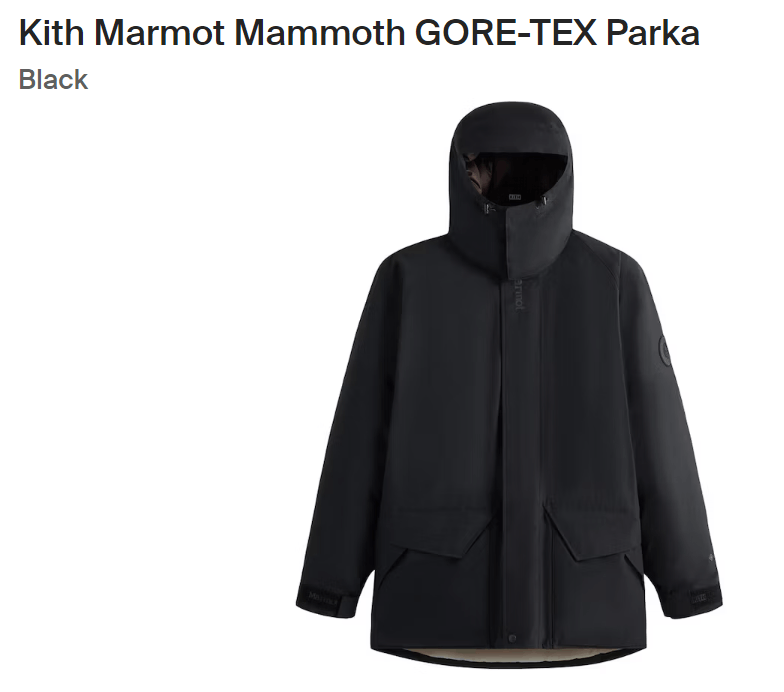 image of Goretex x Kith Marmot Mammoth Gore-Tex Parka in Black, Men's (Size Small)
