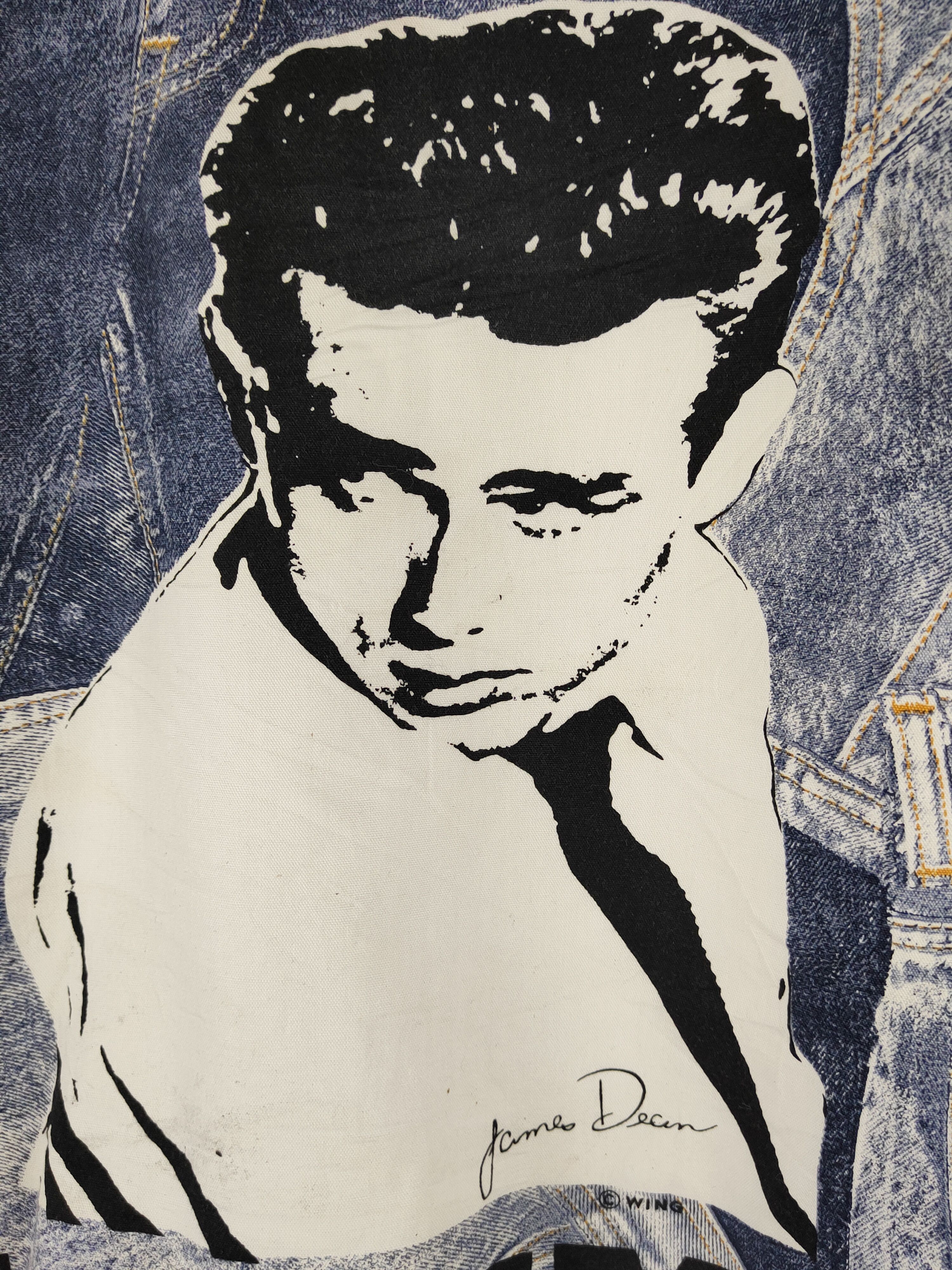 Japanese Brand × Vintage Vintage James Dean ❌ Dear Jimmy Denim Furr Jacket Size US L / EU 52-54 / 3 - 8 Thumbnail