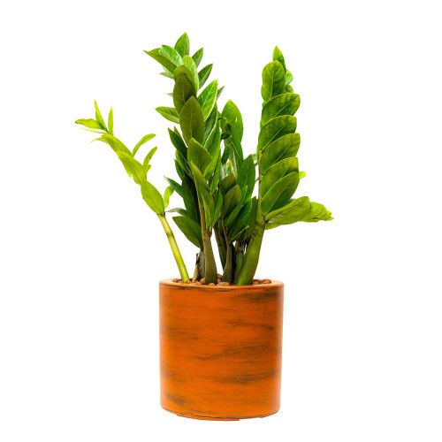Designer × Homemade 7.8 in. Painted Plastic Self-watering Planter Pot Size US L / EU 52-54 / 3 - 5 Thumbnail