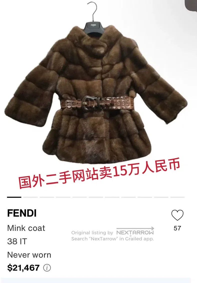 Fendi Fendi Fur Mink Size XS / US 0-2 / IT 36-38 - 9 Thumbnail