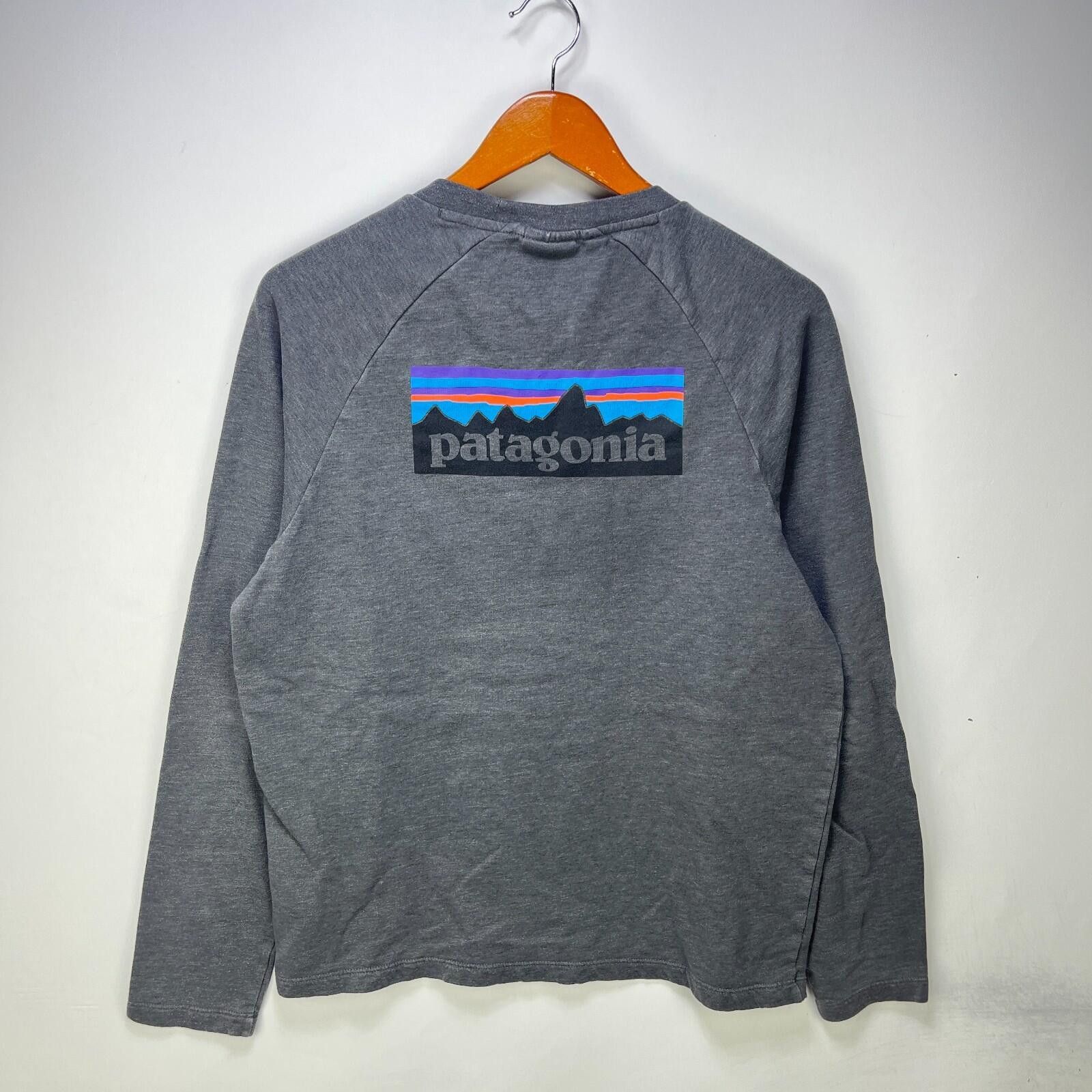 Patagonia Patagonia P-6 Logo Lightweight Raglan Crewneck Sweatshirt M Size US M / EU 48-50 / 2 - 1 Thumbnail