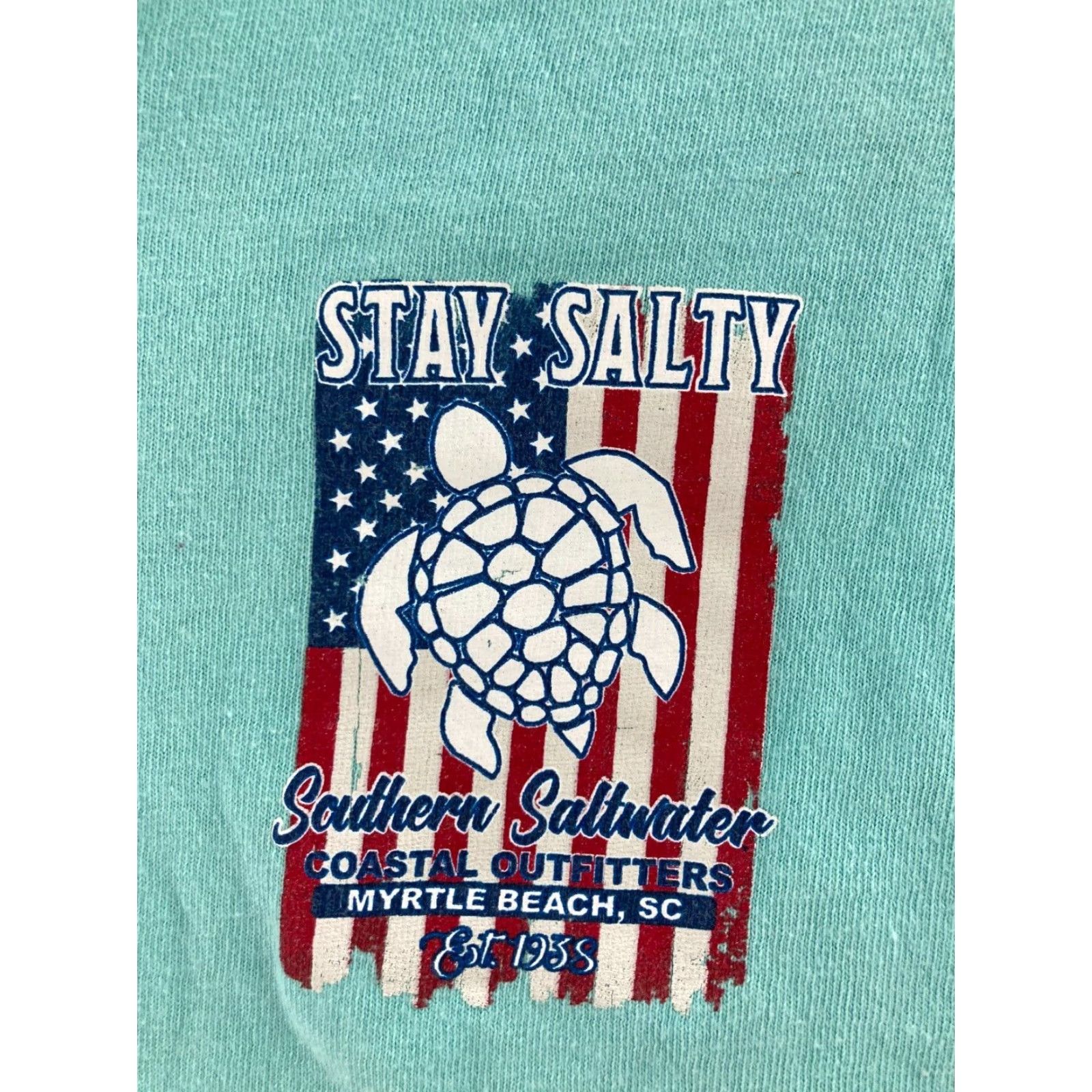 Delta Delta Shirt Mens Large Stay Salty Southern Saltwater Myrtle Beach Teal Size US L / EU 52-54 / 3 - 2 Thumbnail