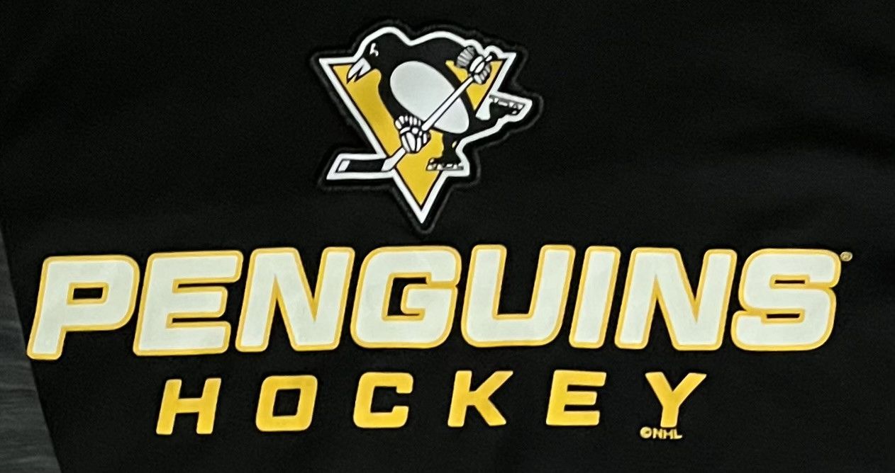 Other Fanatics Pittsburgh Penguins NHL Hockey Hoodie Size US S / EU 44-46 / 1 - 3 Thumbnail