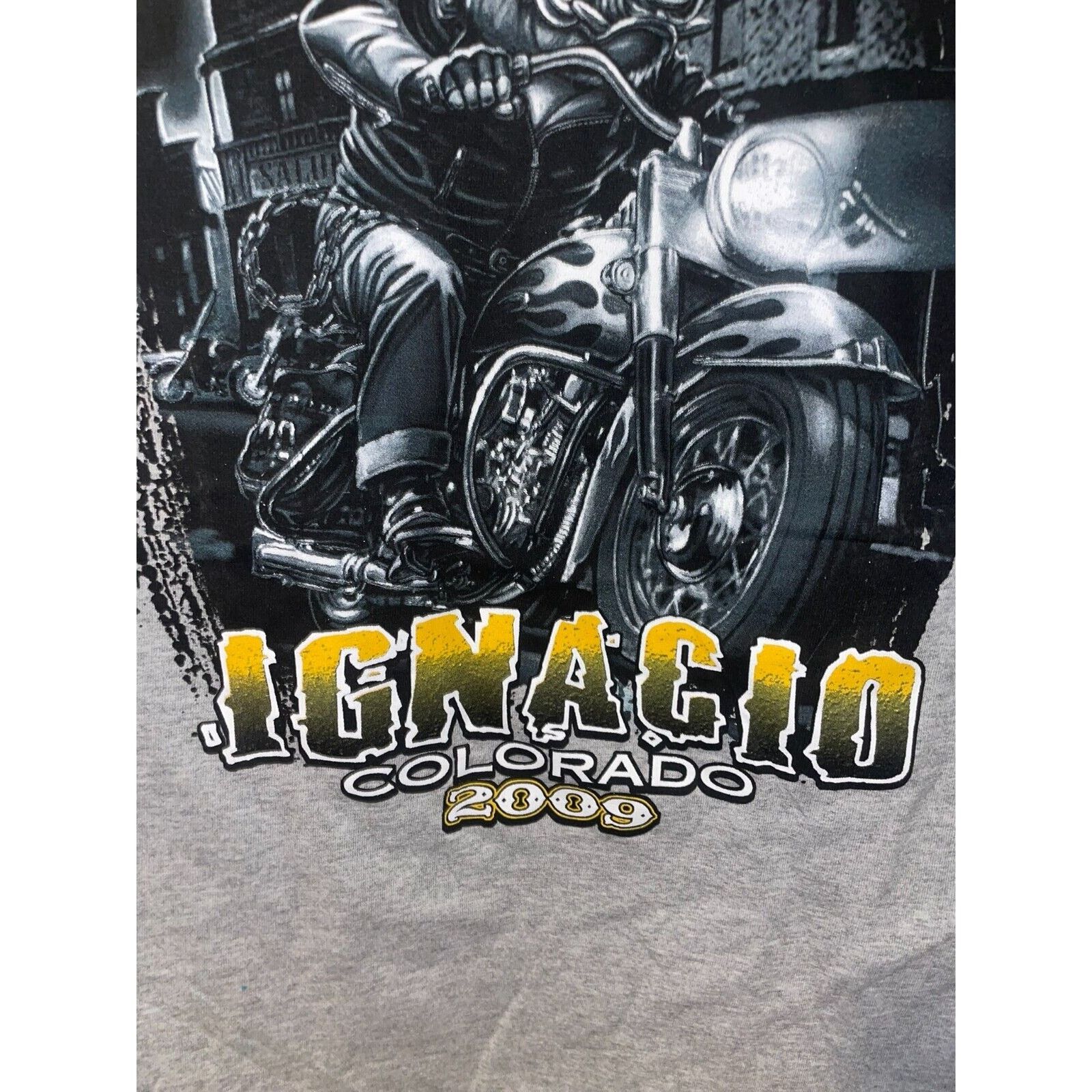 Gildan Ignacio CO Colorado Hog Biker Graphic M Gray Tee 2000s Size US M / EU 48-50 / 2 - 8 Thumbnail