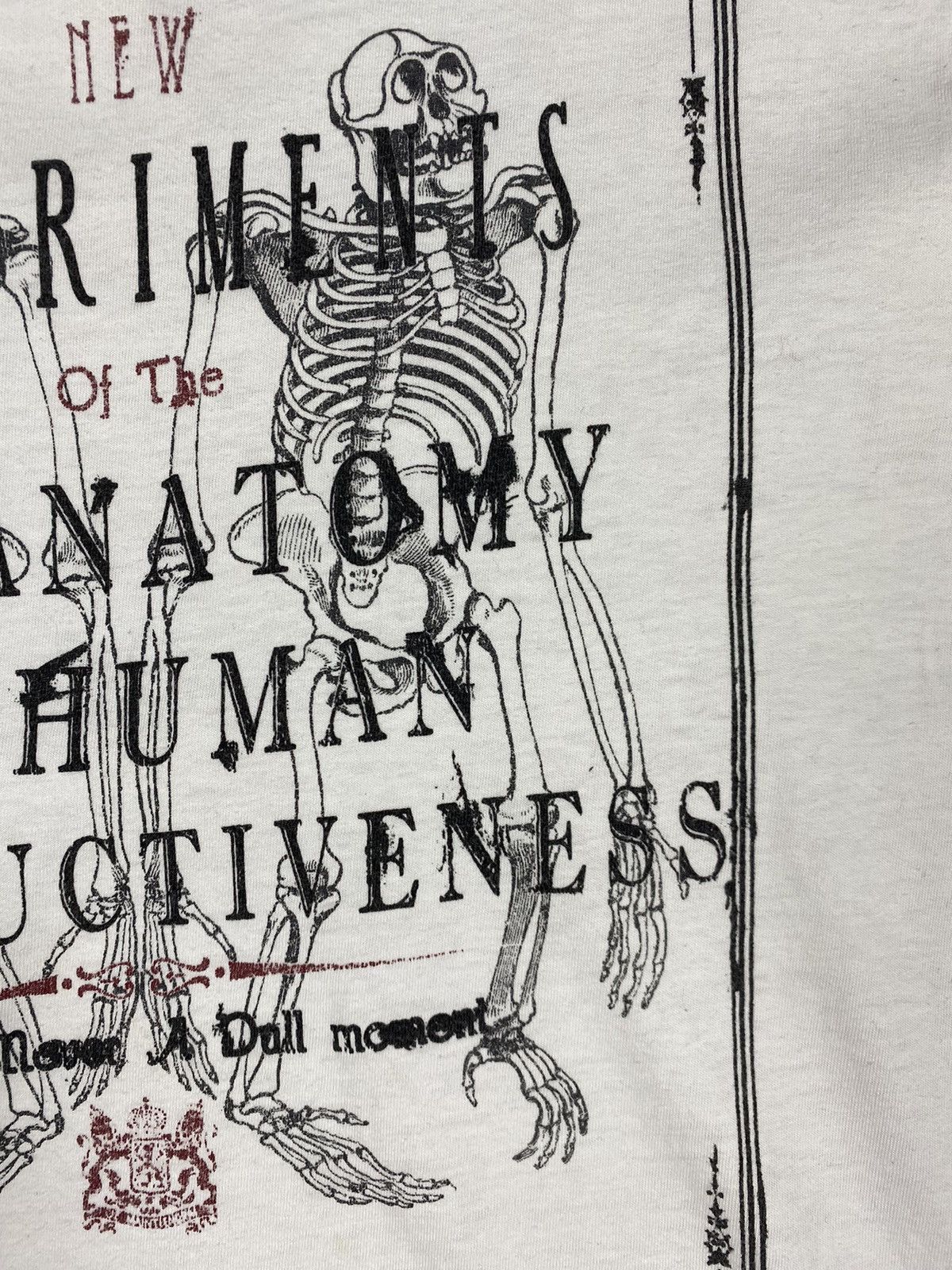 Levi's Levis Human Anatomy Tee T Shirt Size US L / EU 52-54 / 3 - 11 Thumbnail
