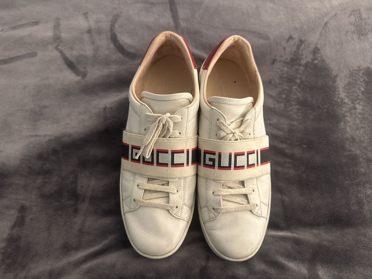 Gucci elastic Aces