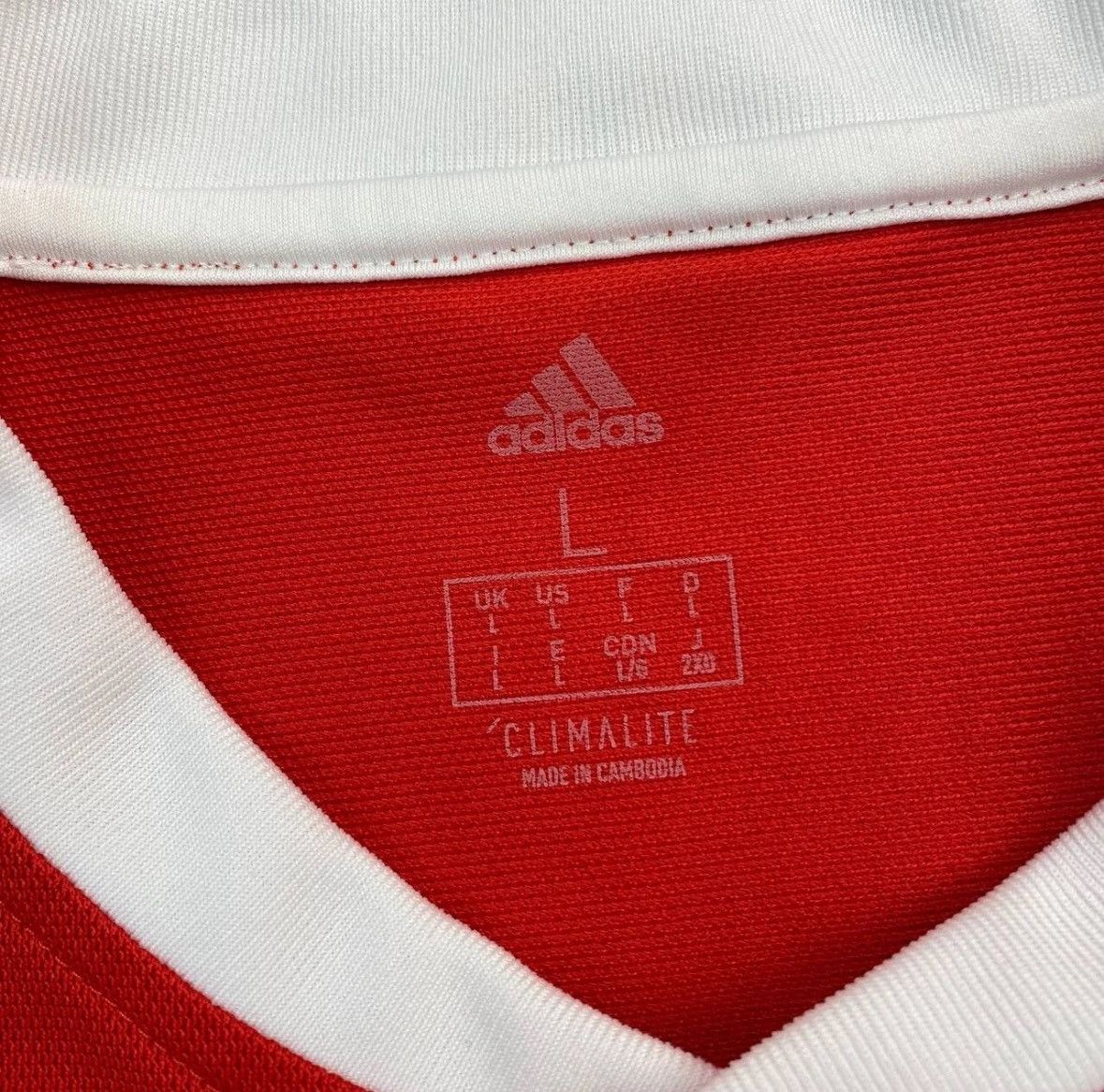 Adidas Adidas Wales Jersey 2018 National Team Home Football sz L Size US L / EU 52-54 / 3 - 8 Thumbnail