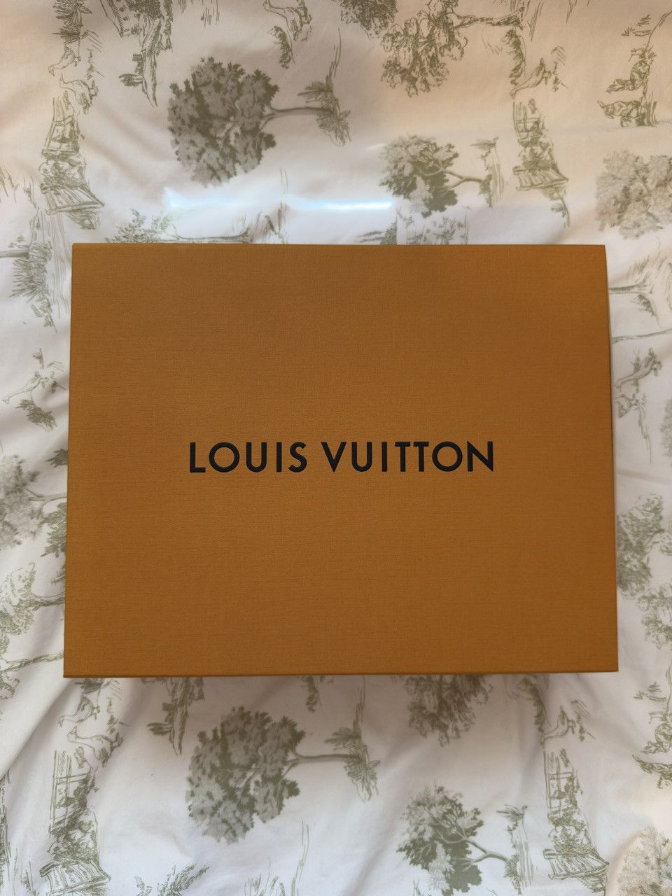 Louis Vuitton Louis Vuitton Trainer Transparent Size US 9 / EU 42 - 8 Thumbnail