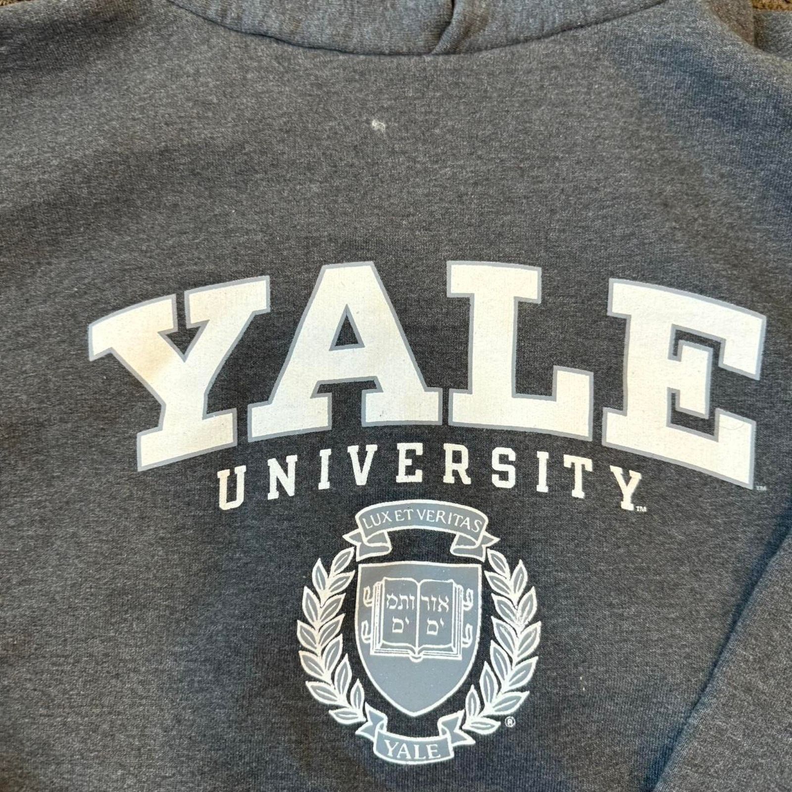 Champion Yale University Champion Grey and White hoodie Size US M / EU 48-50 / 2 - 2 Thumbnail