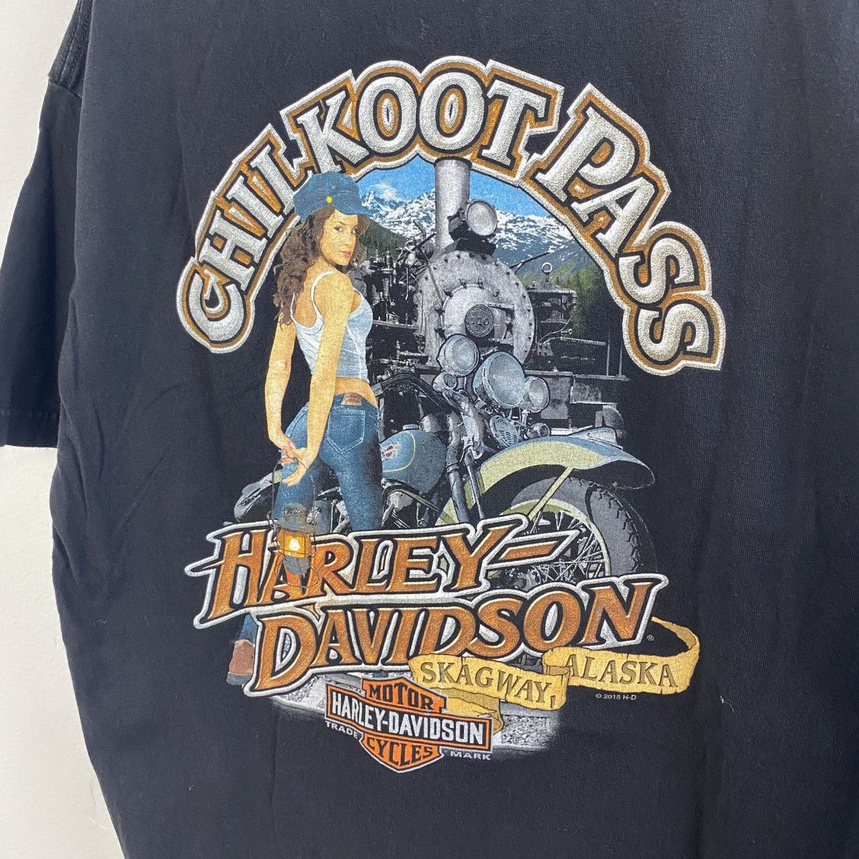 Harley Davidson Vintage Harley Davidson T Shirt L Skagway Alaska Size US L / EU 52-54 / 3 - 1 Thumbnail