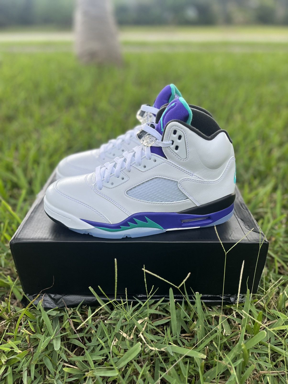 Jordan Brand ⭐️ Air Jordan 5 “Grape” Mens Size 8.5 ⭐️ Size US 8.5 / EU 41-42 - 4 Thumbnail