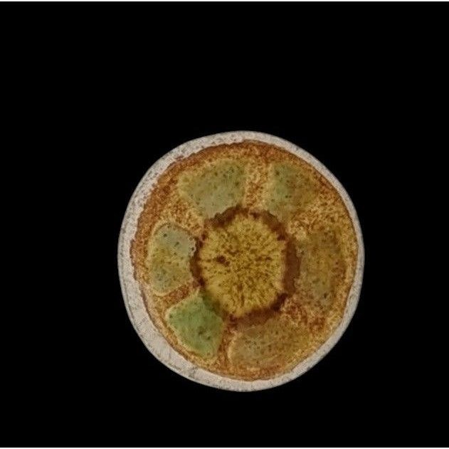 Handmade Vintage Handmade Hippie Ceramic Floral Brooch Size ONE SIZE - 1 Thumbnail
