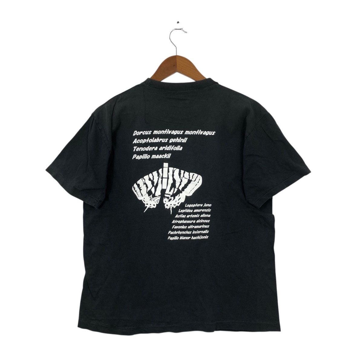 Japanese Brand 2006 Insect Team Seibutsu Dokokai T-Shirt Japanese Ant Image Size US M / EU 48-50 / 2 - 3 Thumbnail
