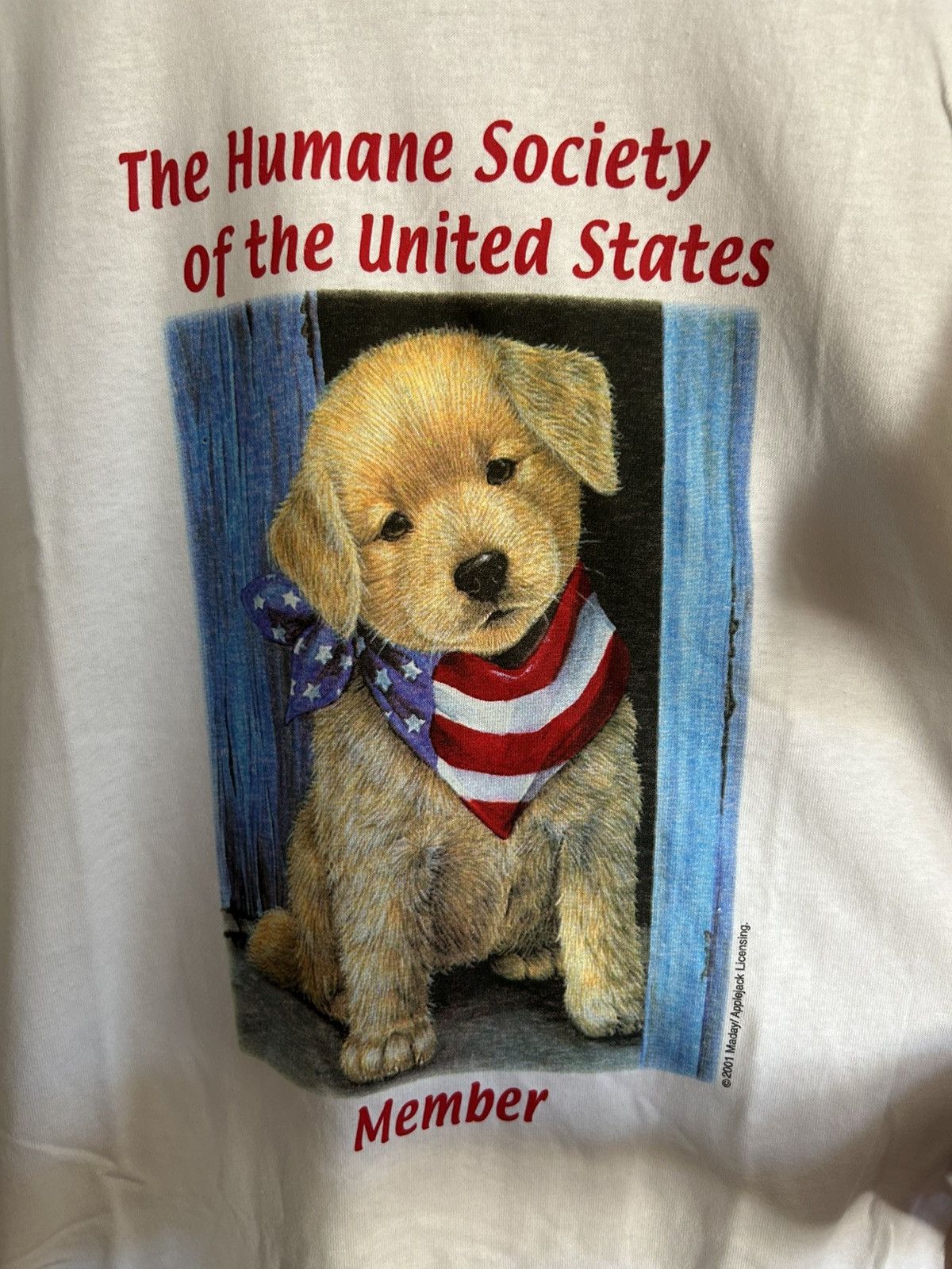 Gildan Vintage 2001 Human Society Dog Shirt Size L Size US L / EU 52-54 / 3 - 2 Thumbnail