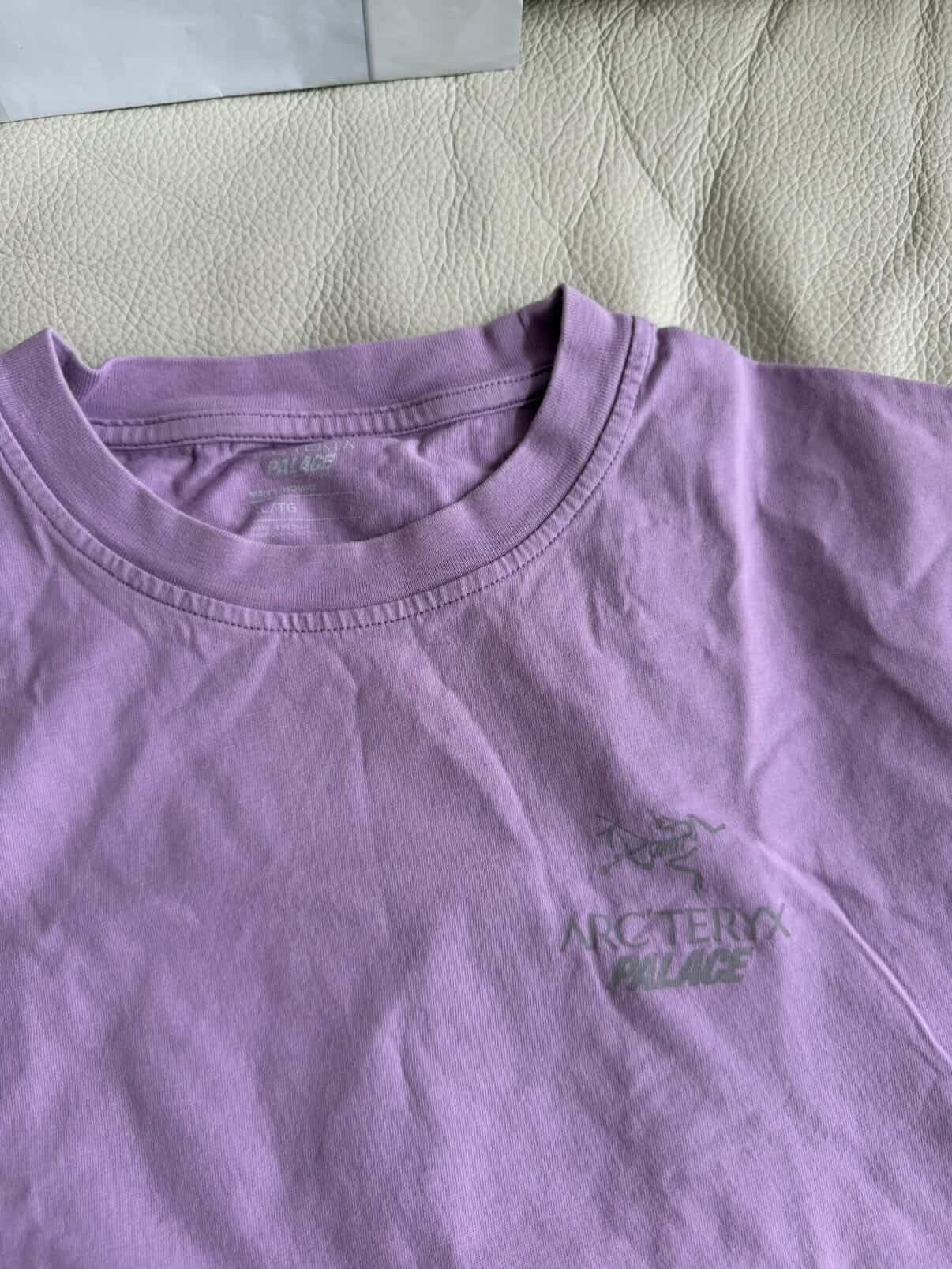 Arc'teryx × Palace Palace Arcteryx Tri Ferg Tee Size US XL / EU 56 / 4 - 3 Thumbnail