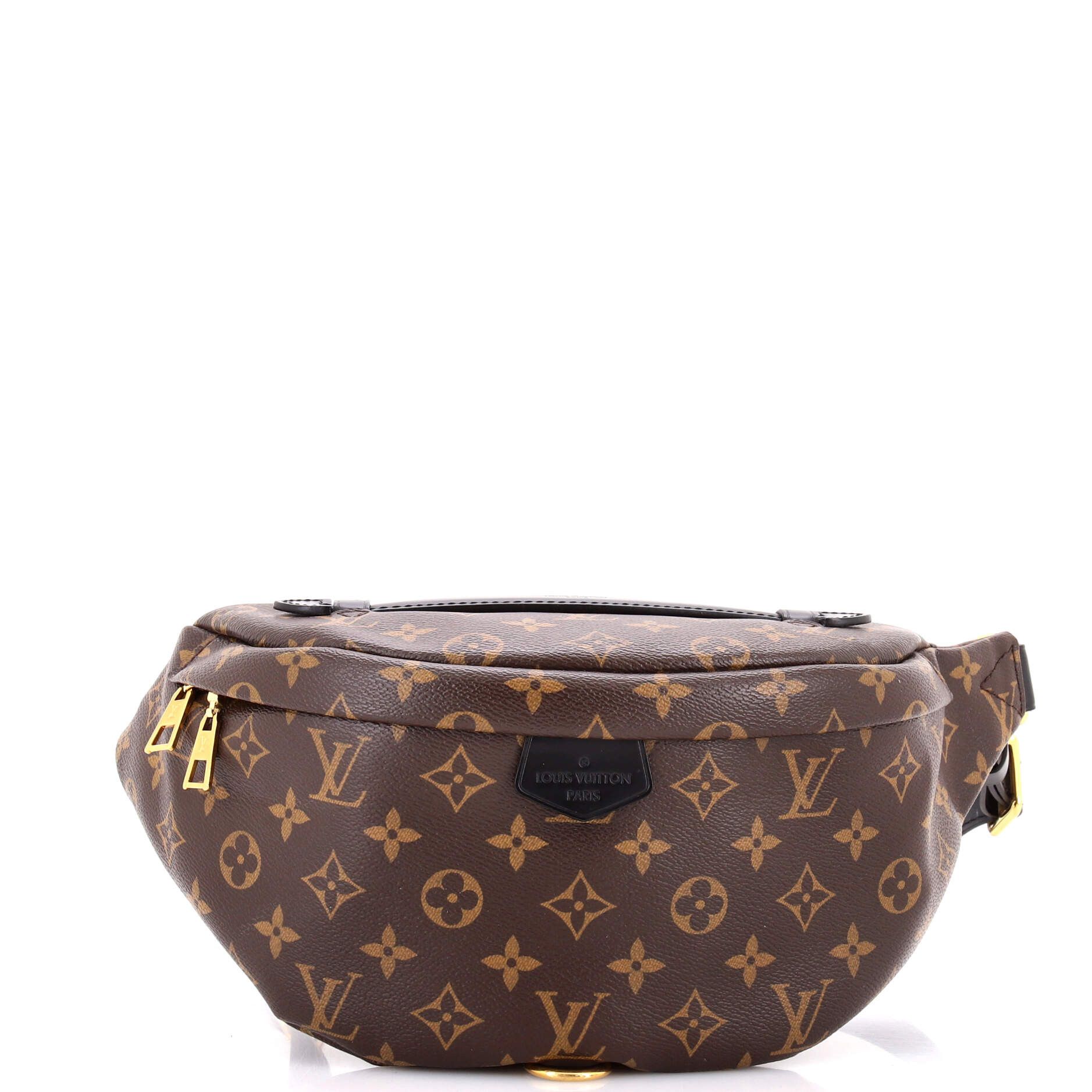 Louis Vuitton Bum Bag Size ONE SIZE - 1 Thumbnail