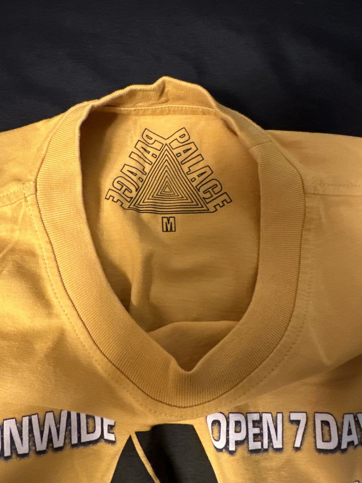 Palace Palace tee Size US M / EU 48-50 / 2 - 2 Thumbnail
