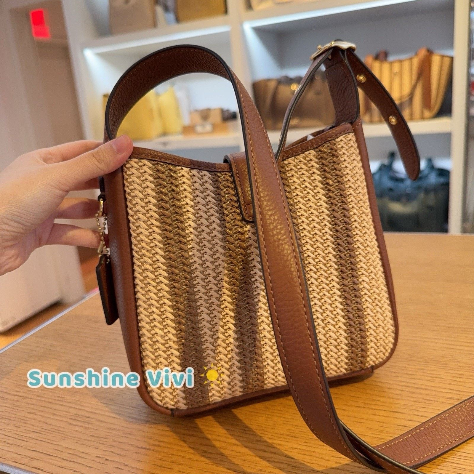 Coach NWT COACH Hadley Mini Bag CBI10 Redwood Straw Leather Size ONE SIZE - 3 Thumbnail