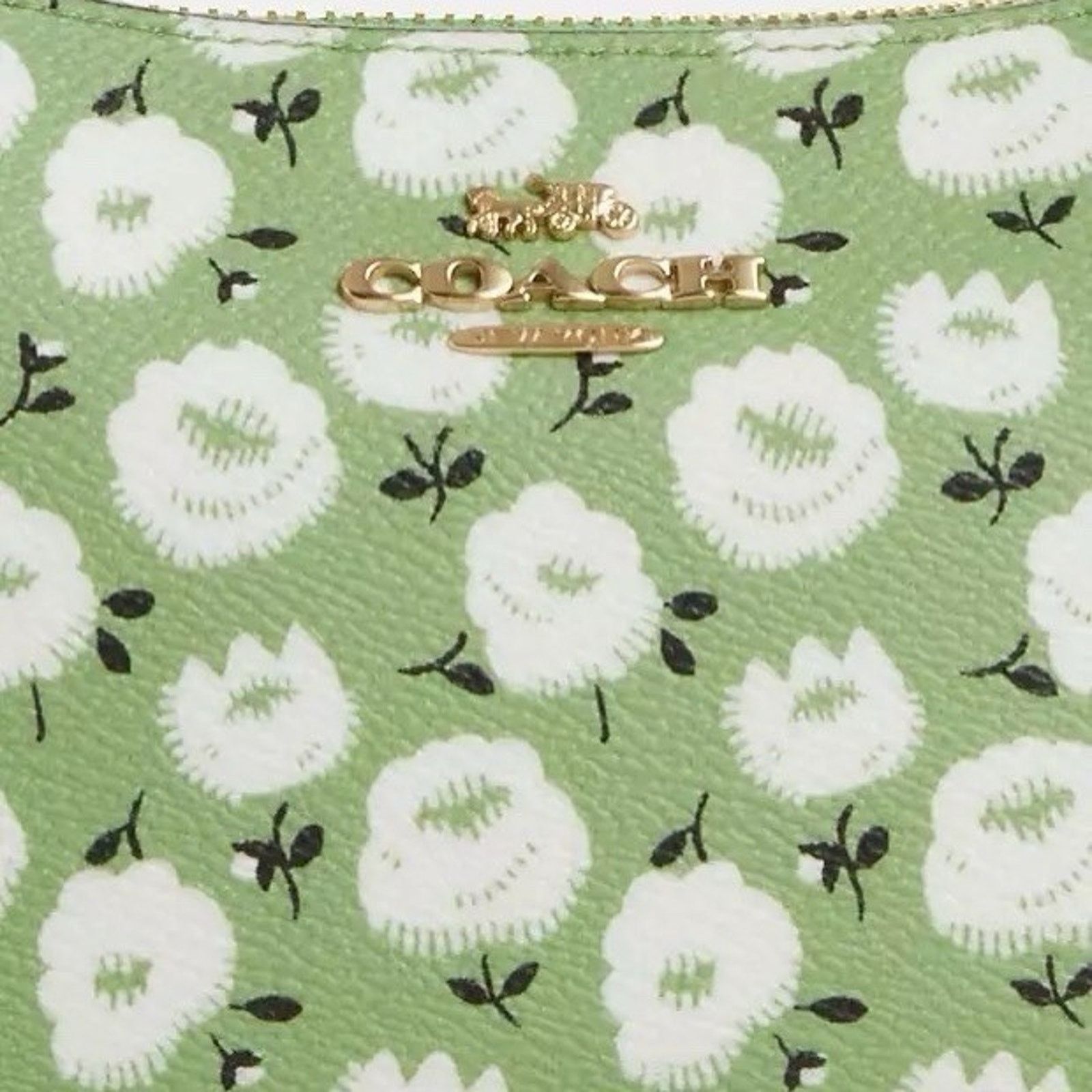 Coach NWT Coach Teri Mini Crossbody Bag Floral Print CBG84 Kelly Size ONE SIZE - 10 Thumbnail