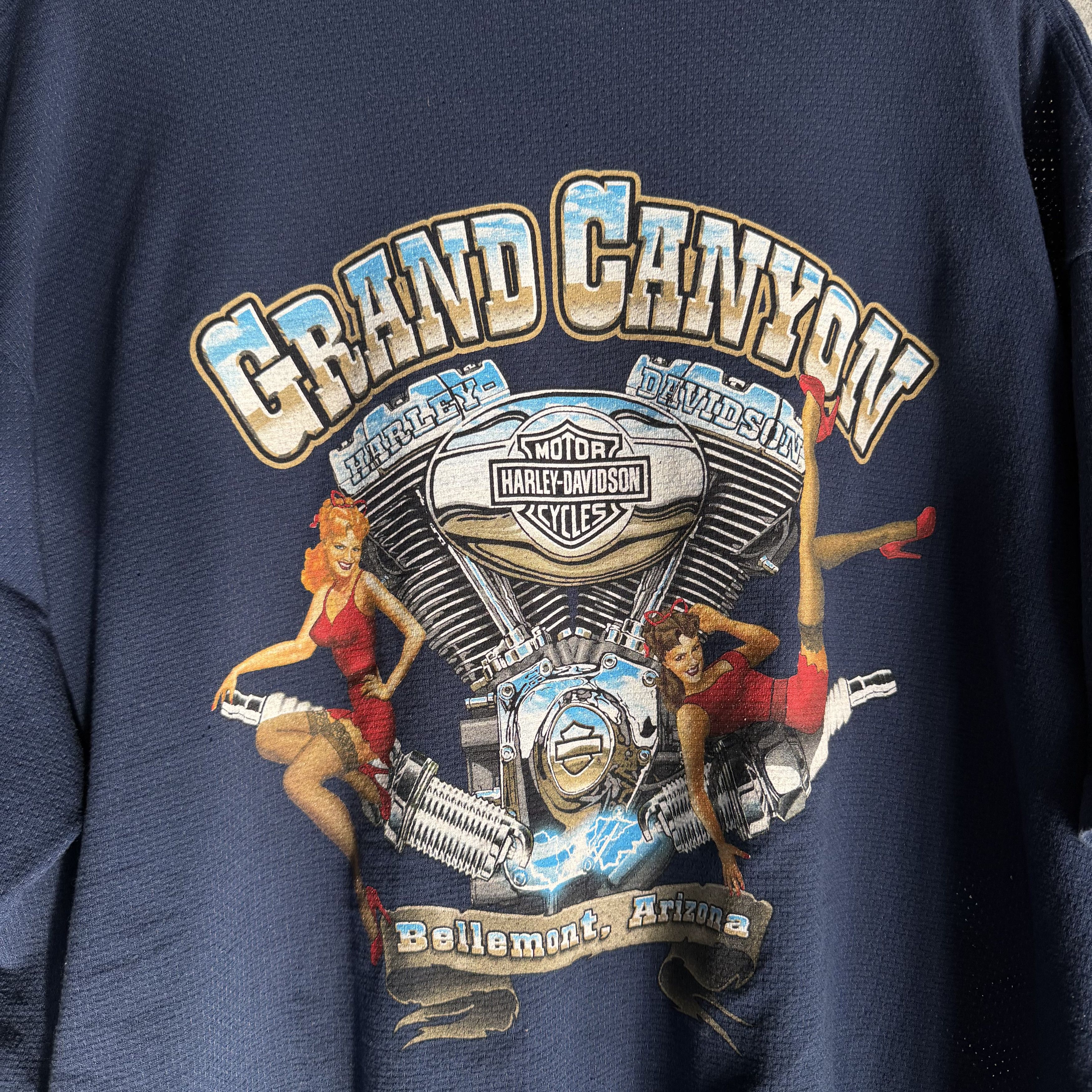 Harley Davidson Vtg Harley Davidson T Shirt Arizona Motor Sexy Girl Canyon Size US XL / EU 56 / 4 - 6 Thumbnail