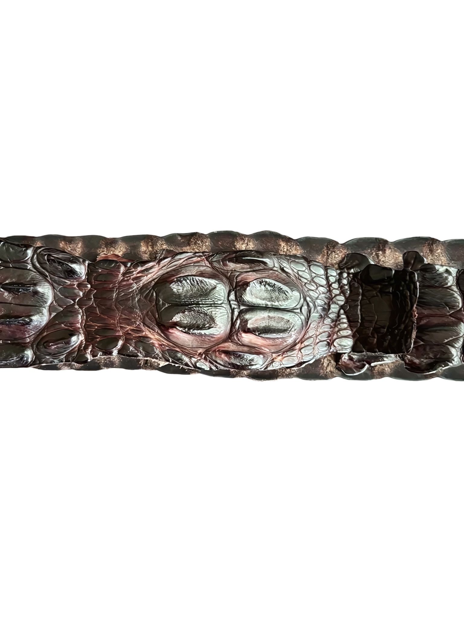 Roberto Cavalli S/S 2005 REAL CROCODILE SKIN BELT Size ONE SIZE - 2 Thumbnail