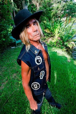 The flash collection by Iggy Pop