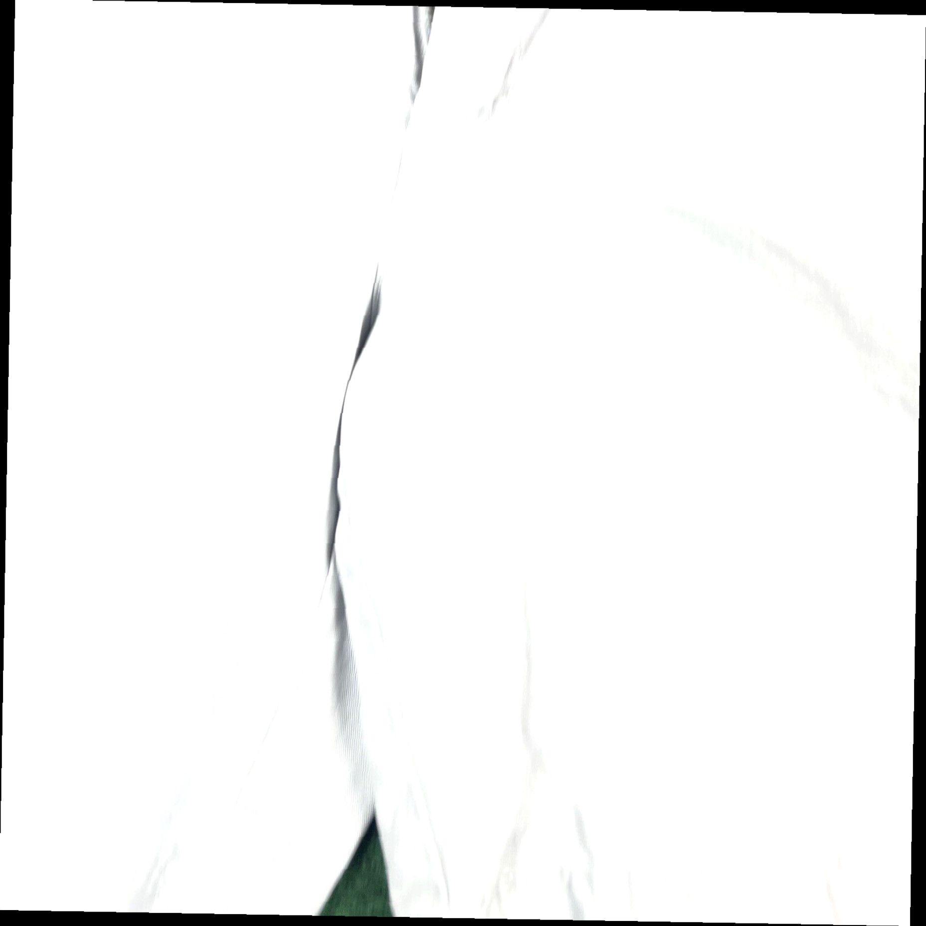 Izod Izod Men's Shorts Gray 36 Flat Front Golf Casual Performance Chino Size US 36 / EU 52 - 2 Thumbnail