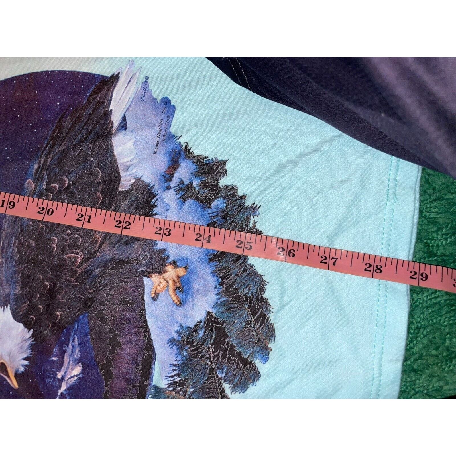 Jerzees Vintage Been Ther Done That Test Print Blue Eagle S Tee 90s Size US S / EU 44-46 / 1 - 11 Thumbnail